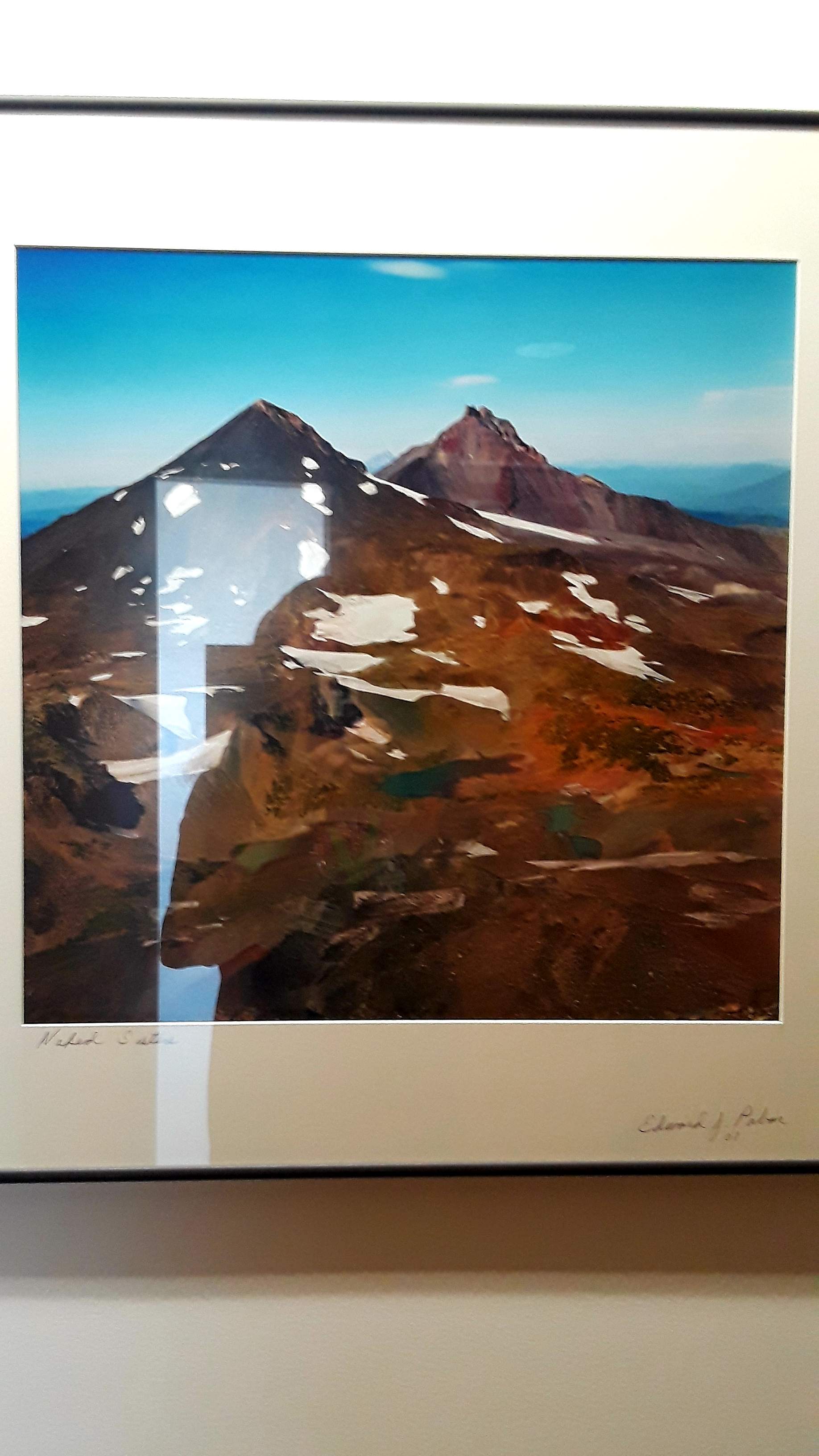 20190423_123610.jpg