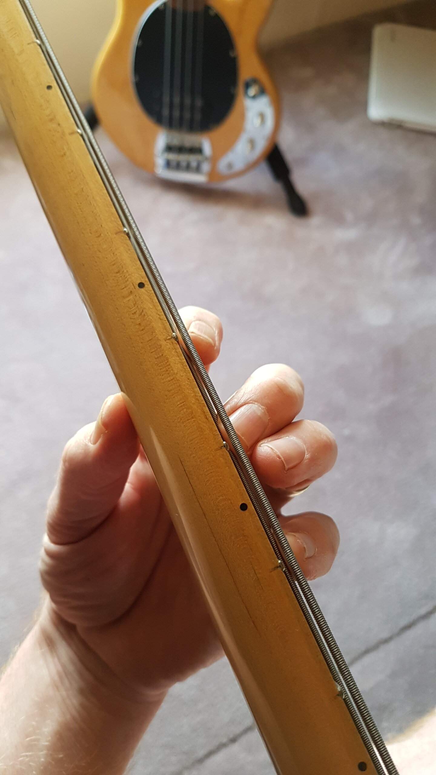 20190426_091720.jpg