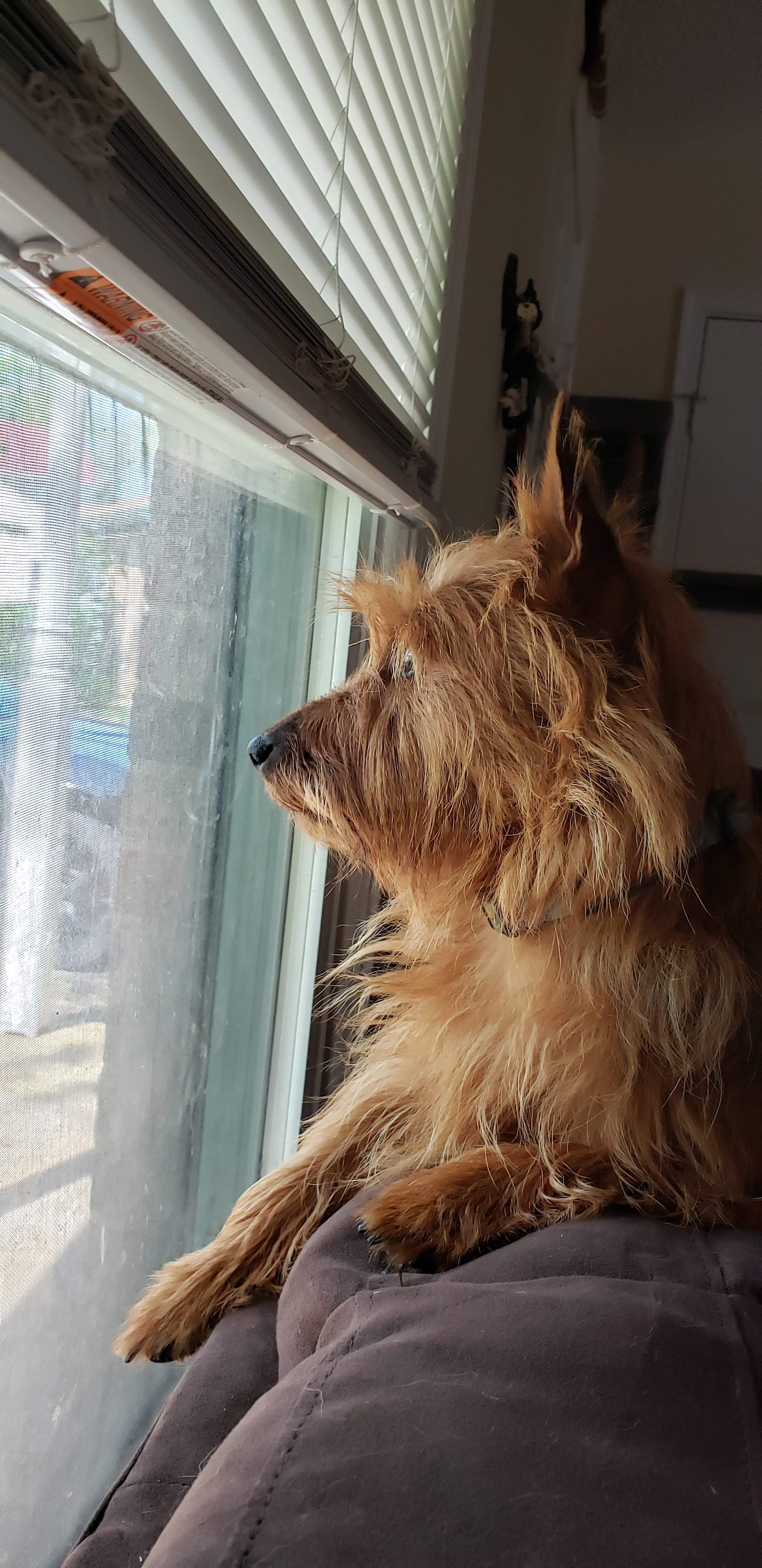 20190426_152615.jpg