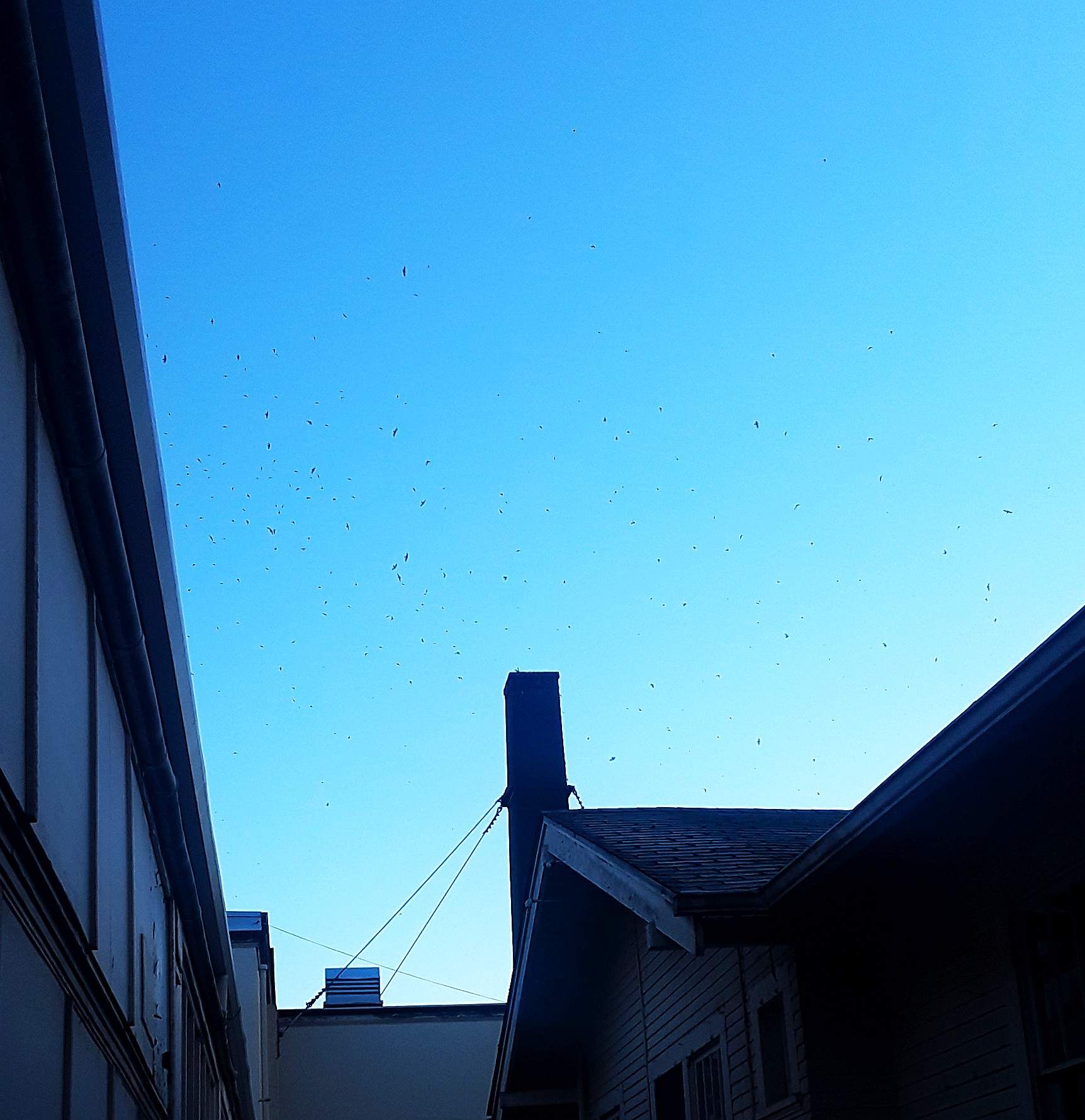20190501_062507.jpg