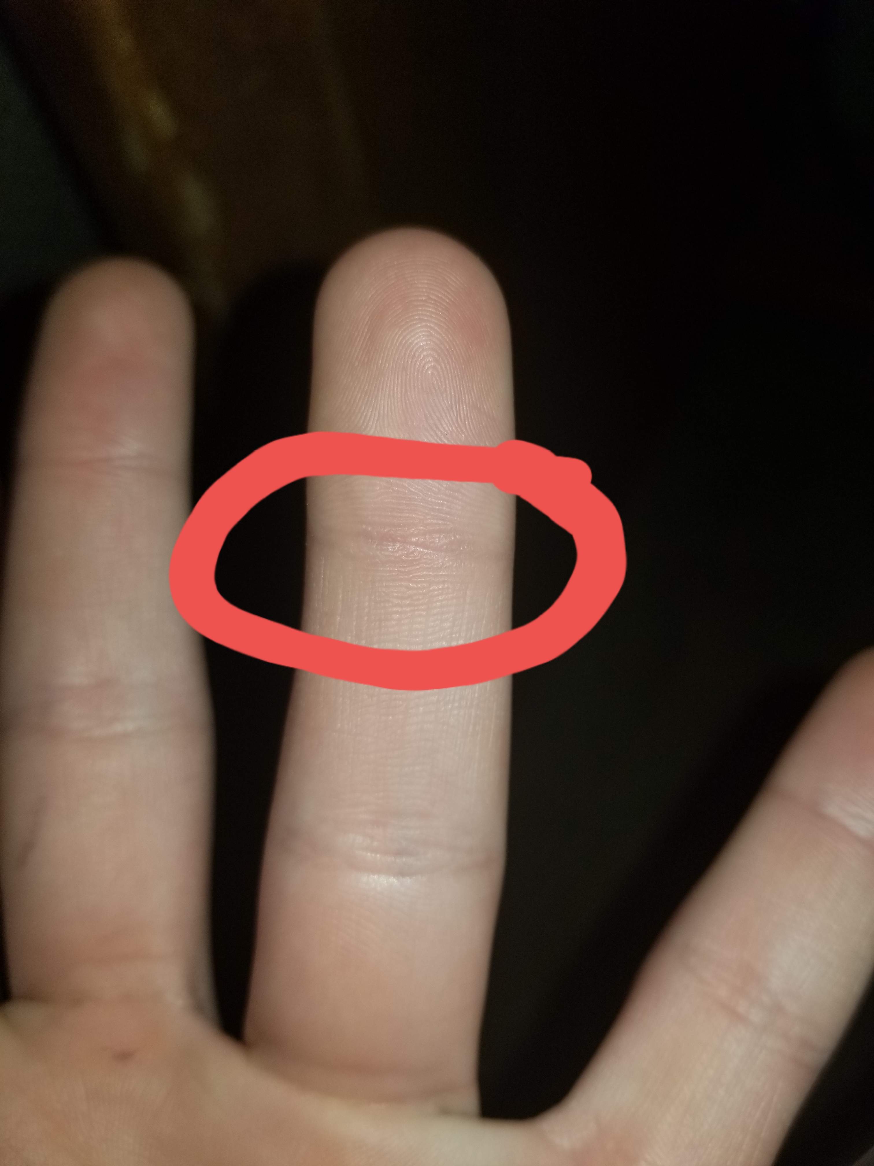 20190501_223250.jpg
