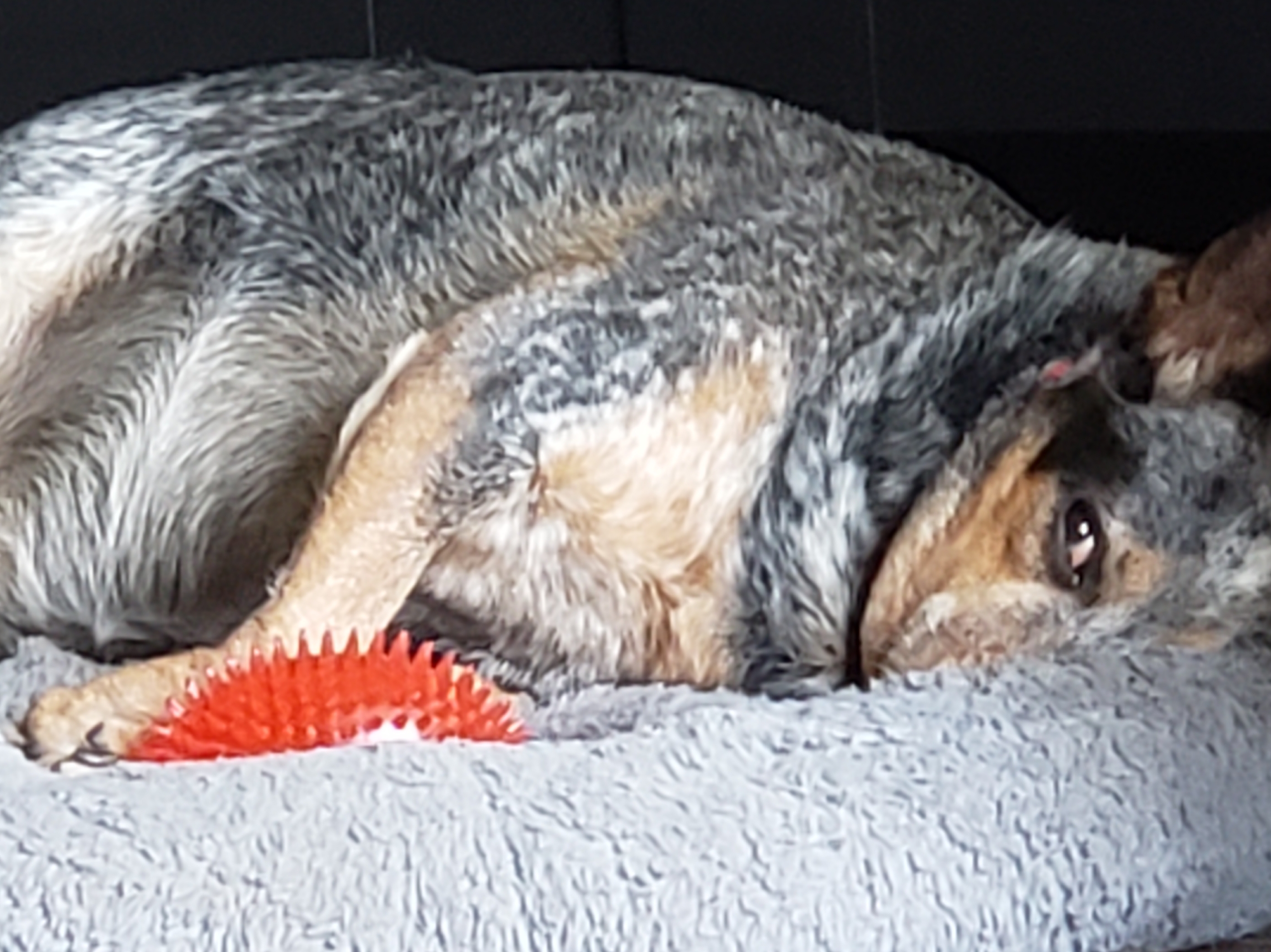 20190504_130244.jpg