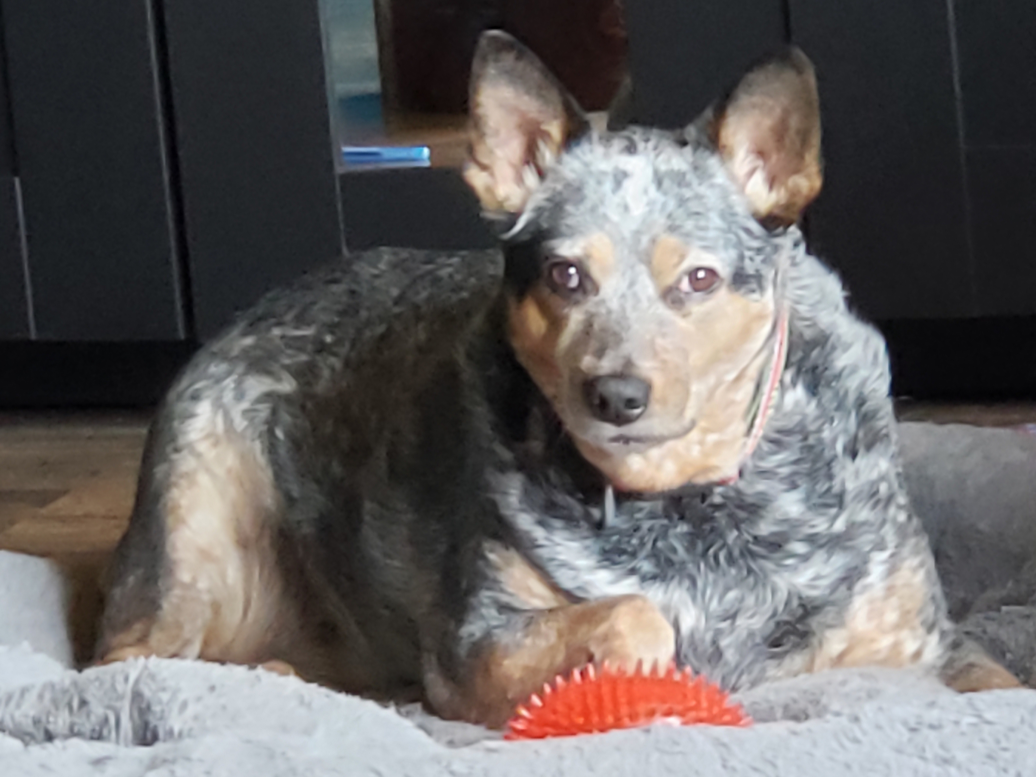 20190504_130346.jpg