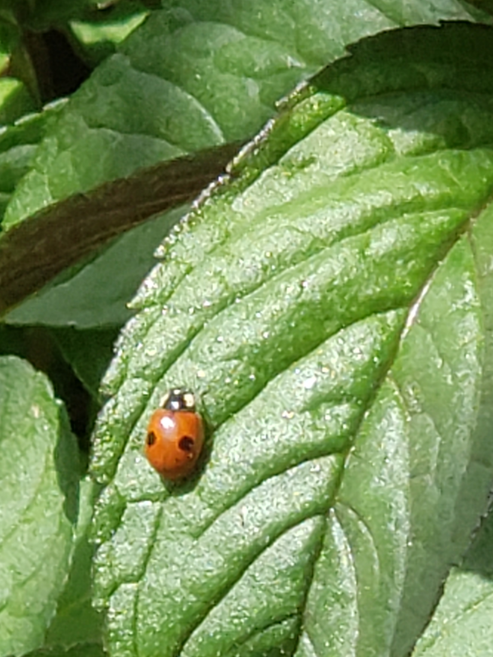 20190504_231442.jpg