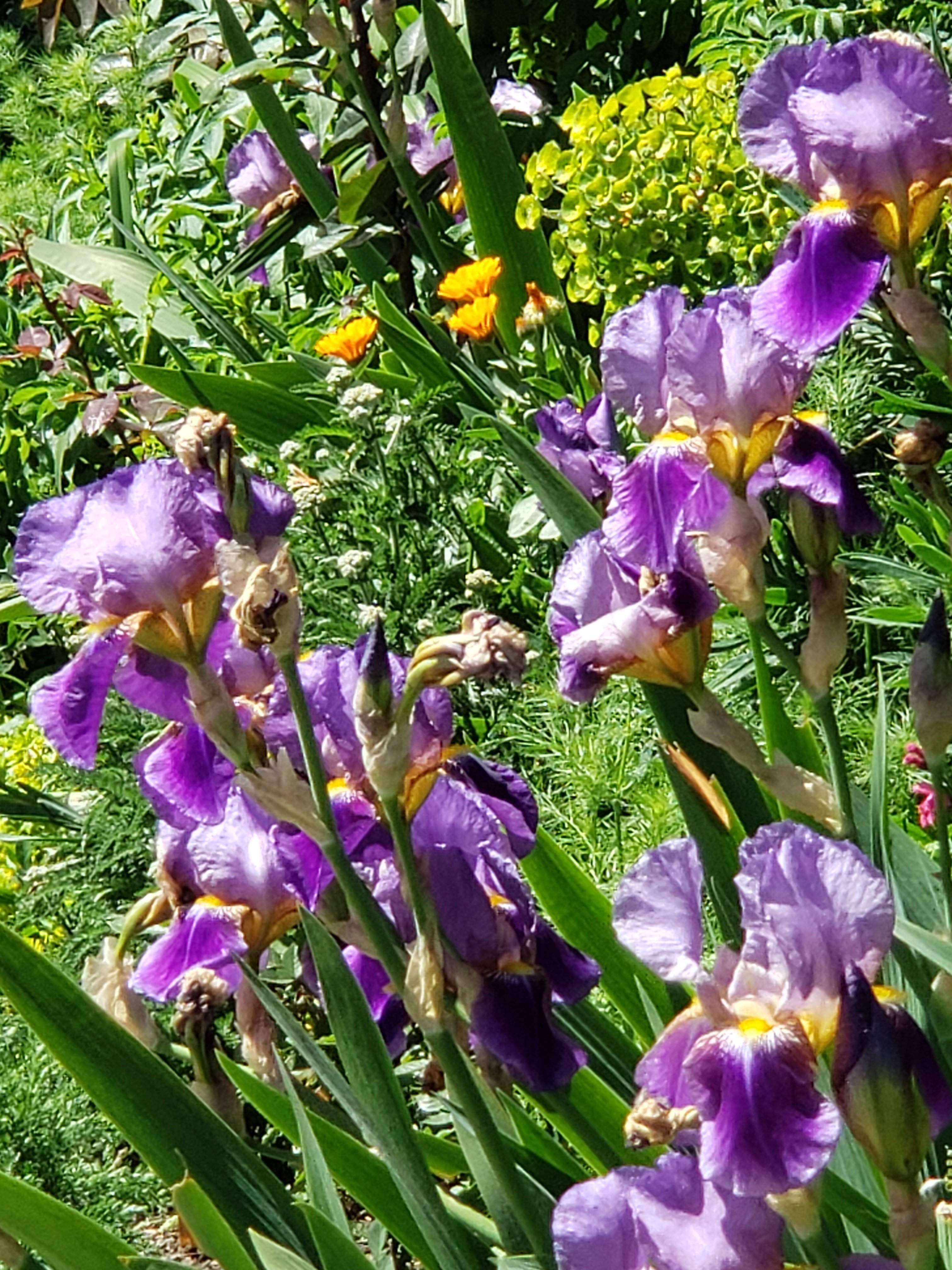 20190508_135610.jpg