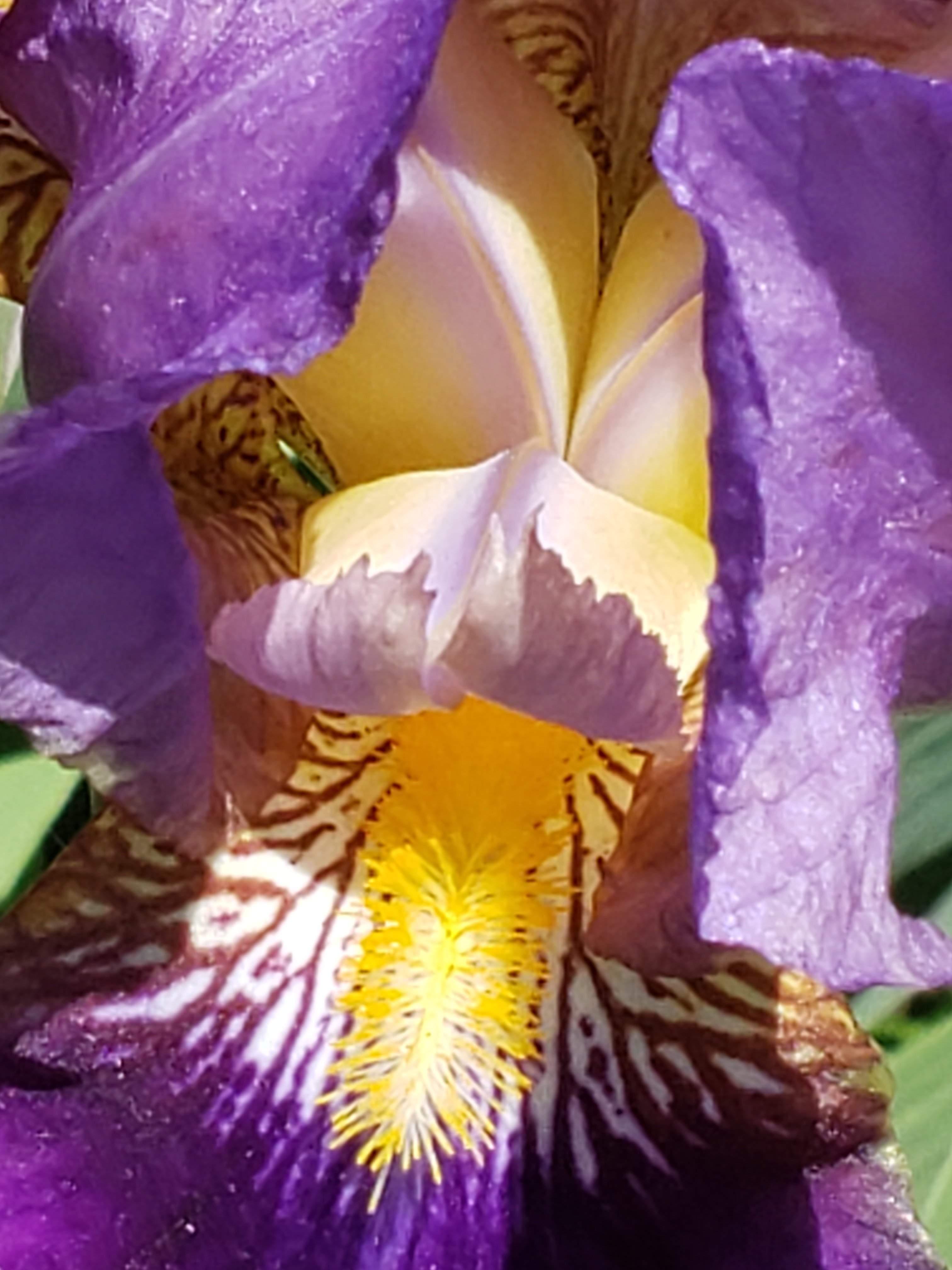 20190508_135650.jpg