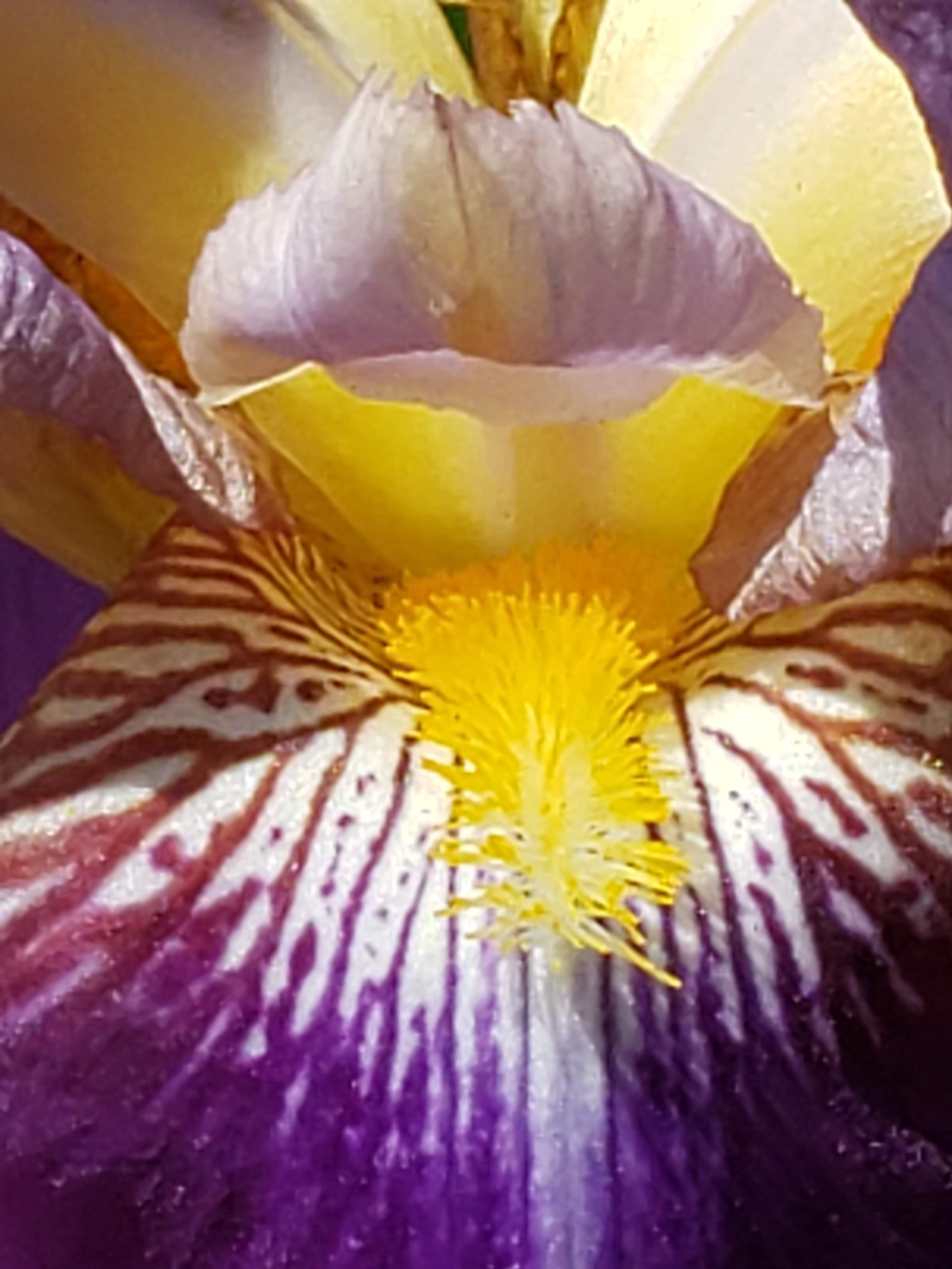 20190508_135949.jpg