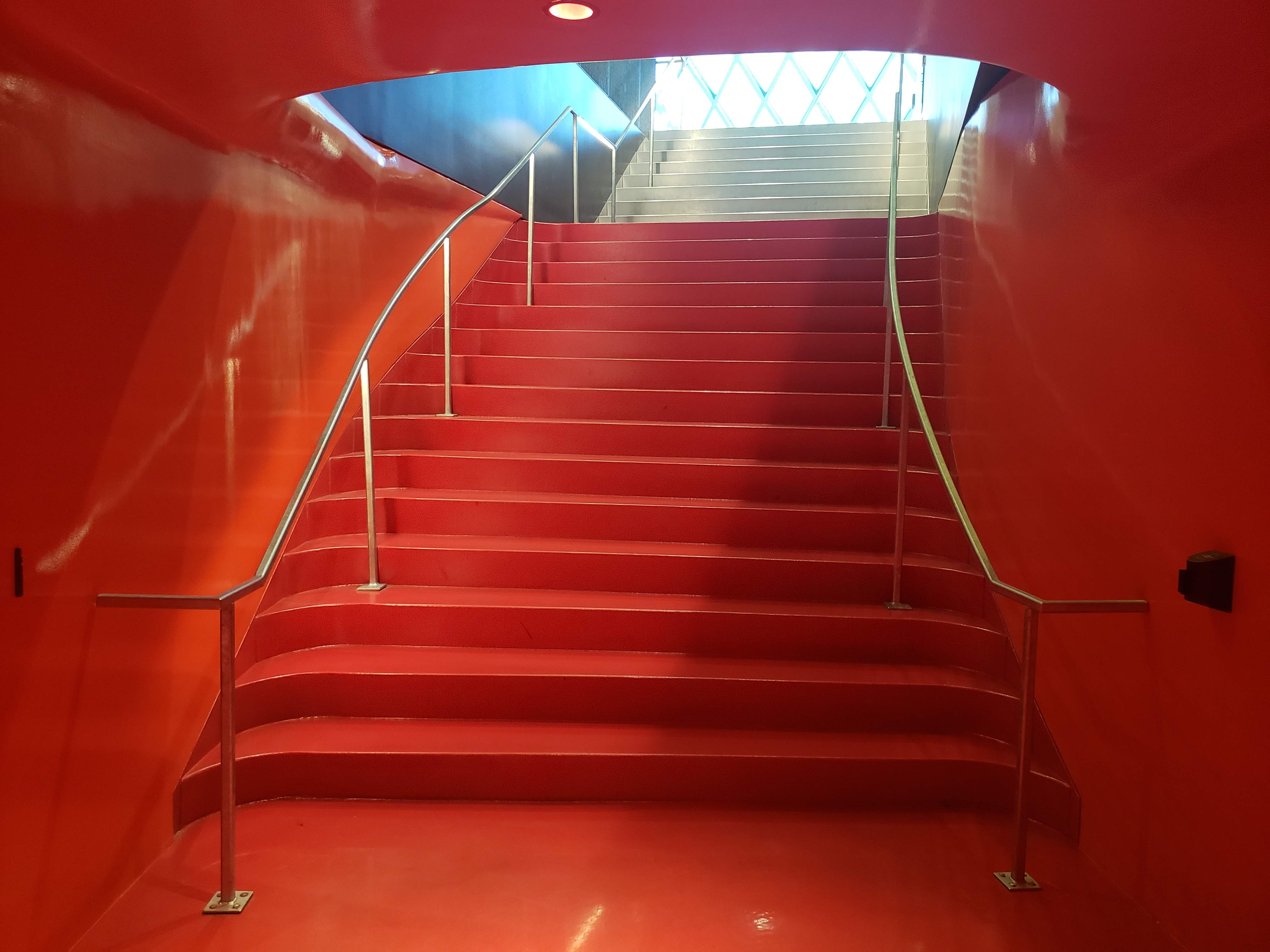 20190509_113556.jpg