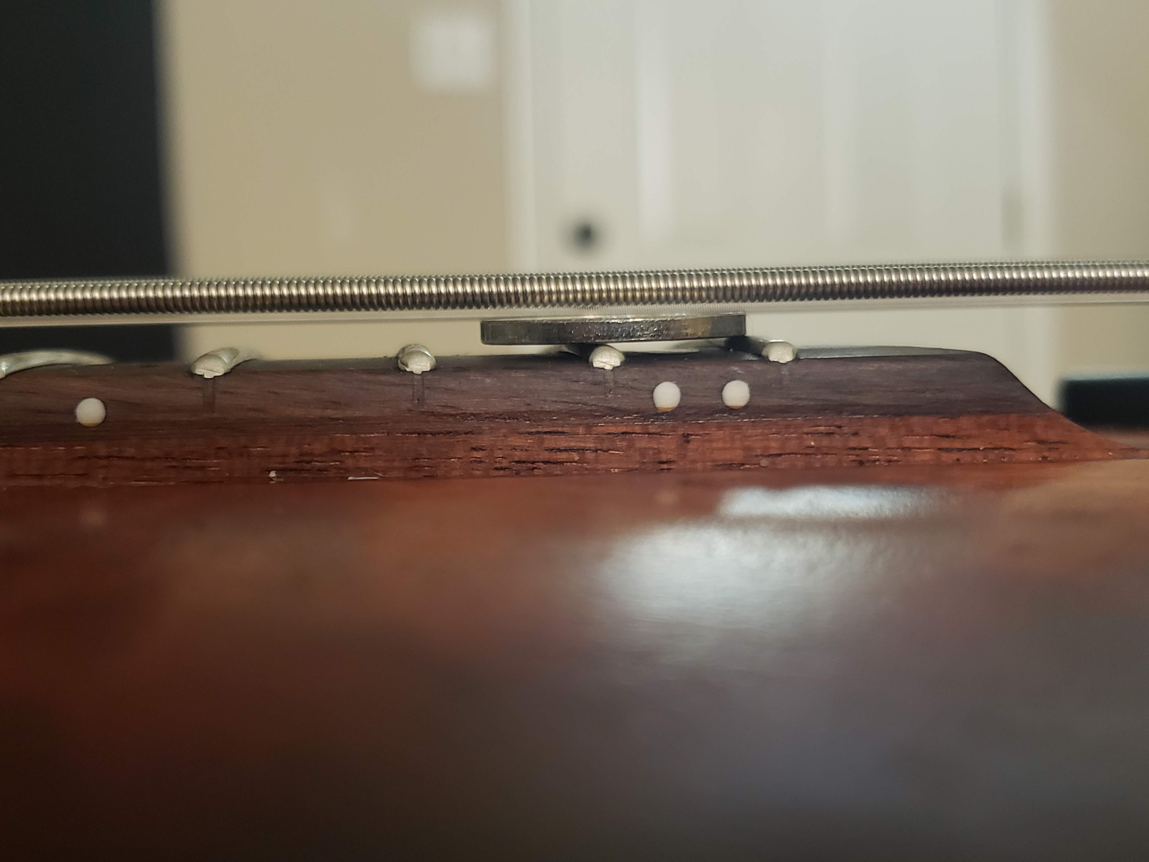 20190514_125002.jpg