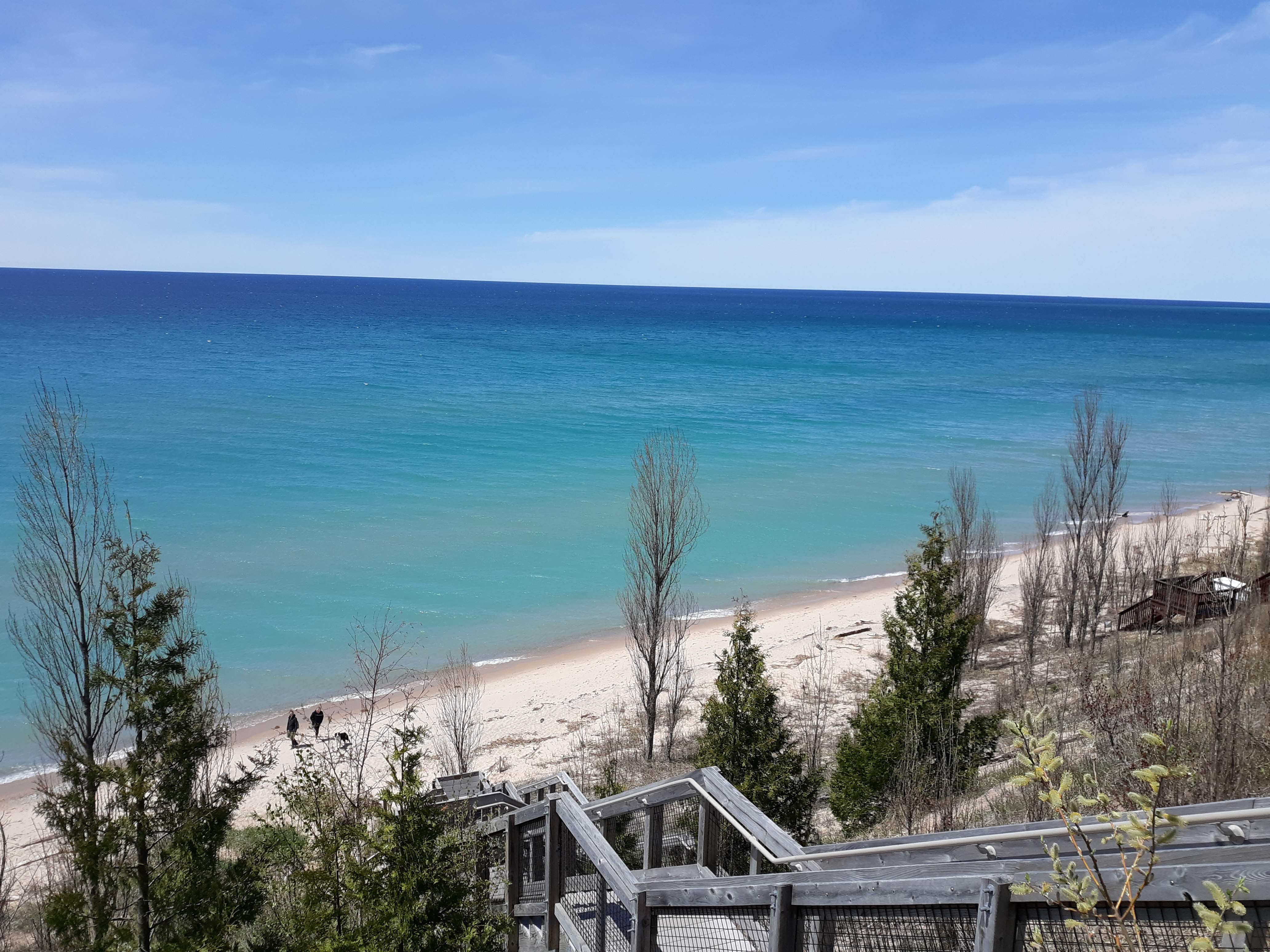 20190517_134148.jpg
