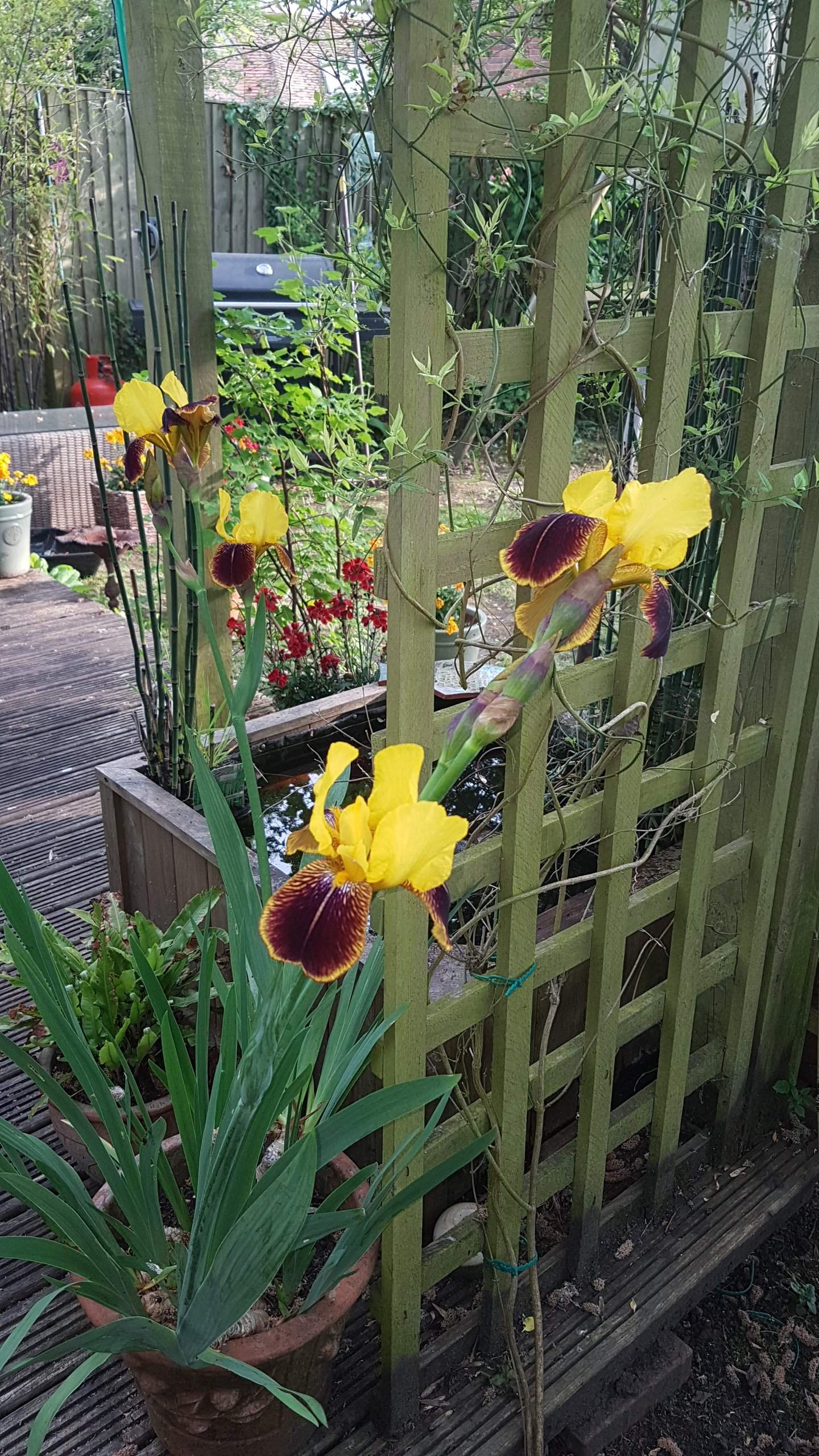 20190520_190748.jpg