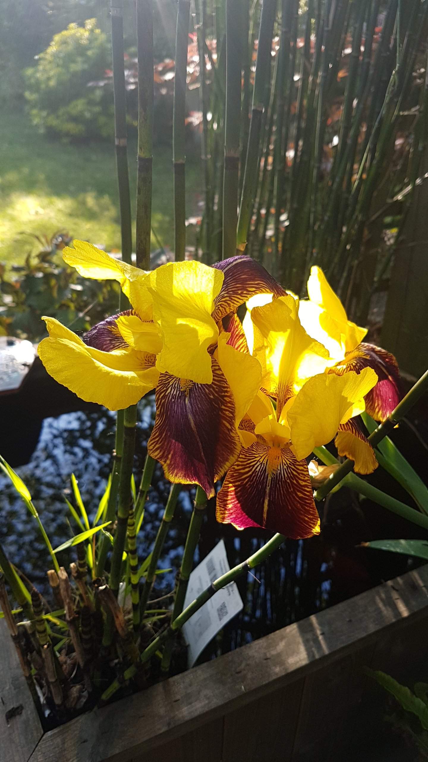 20190522_183941.jpg