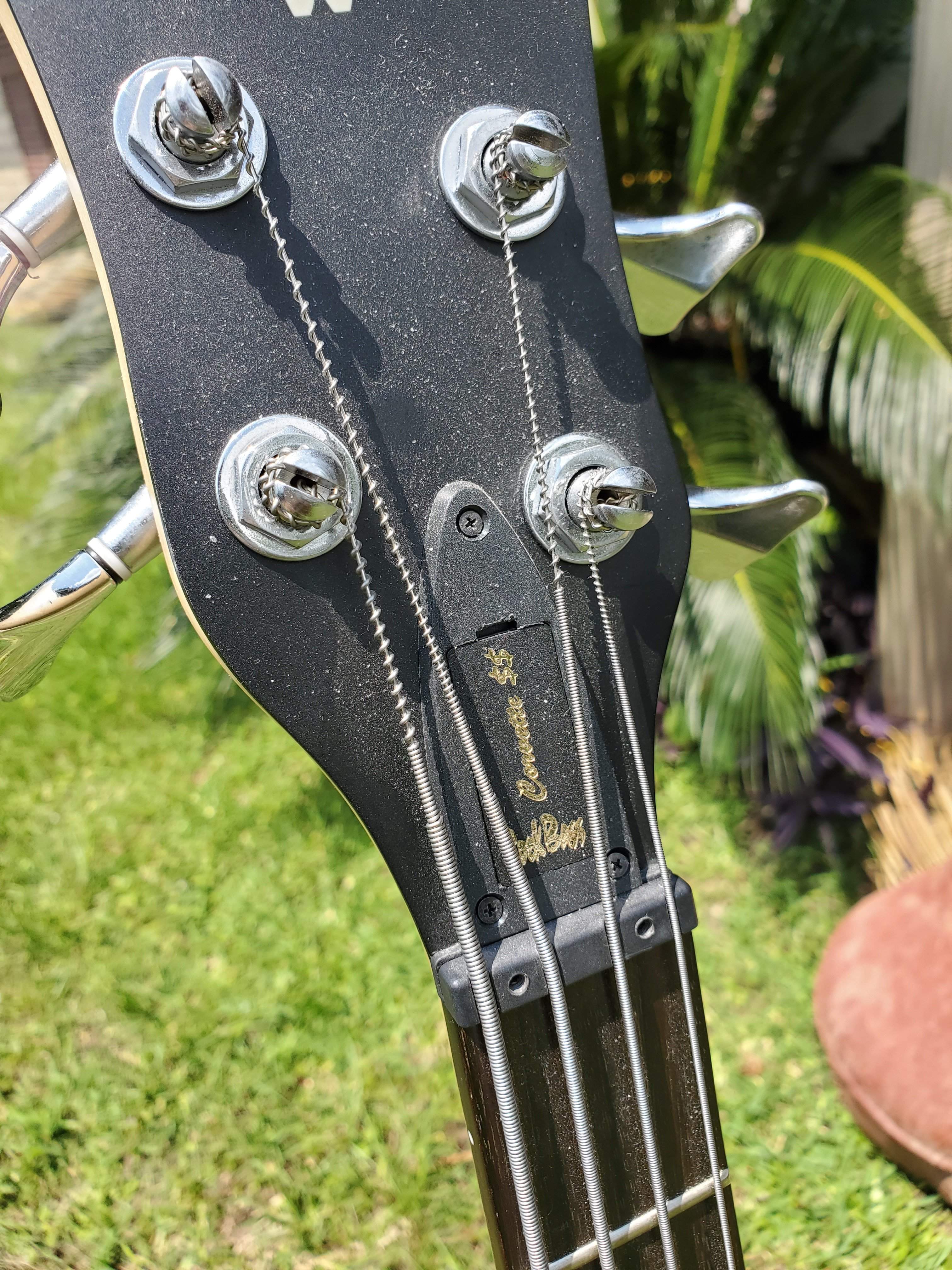 20190602_115251.jpg