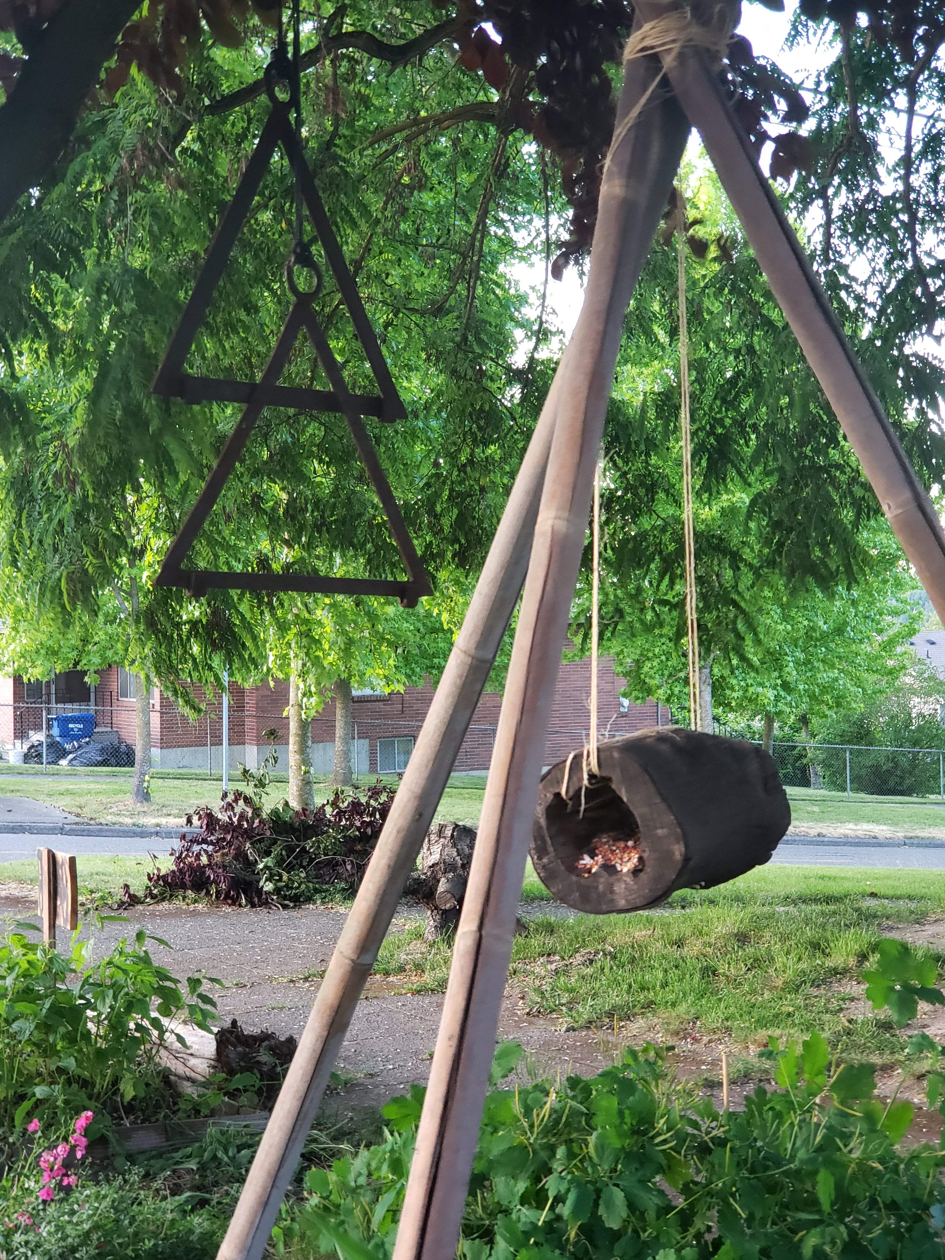 20190610_210045.jpg