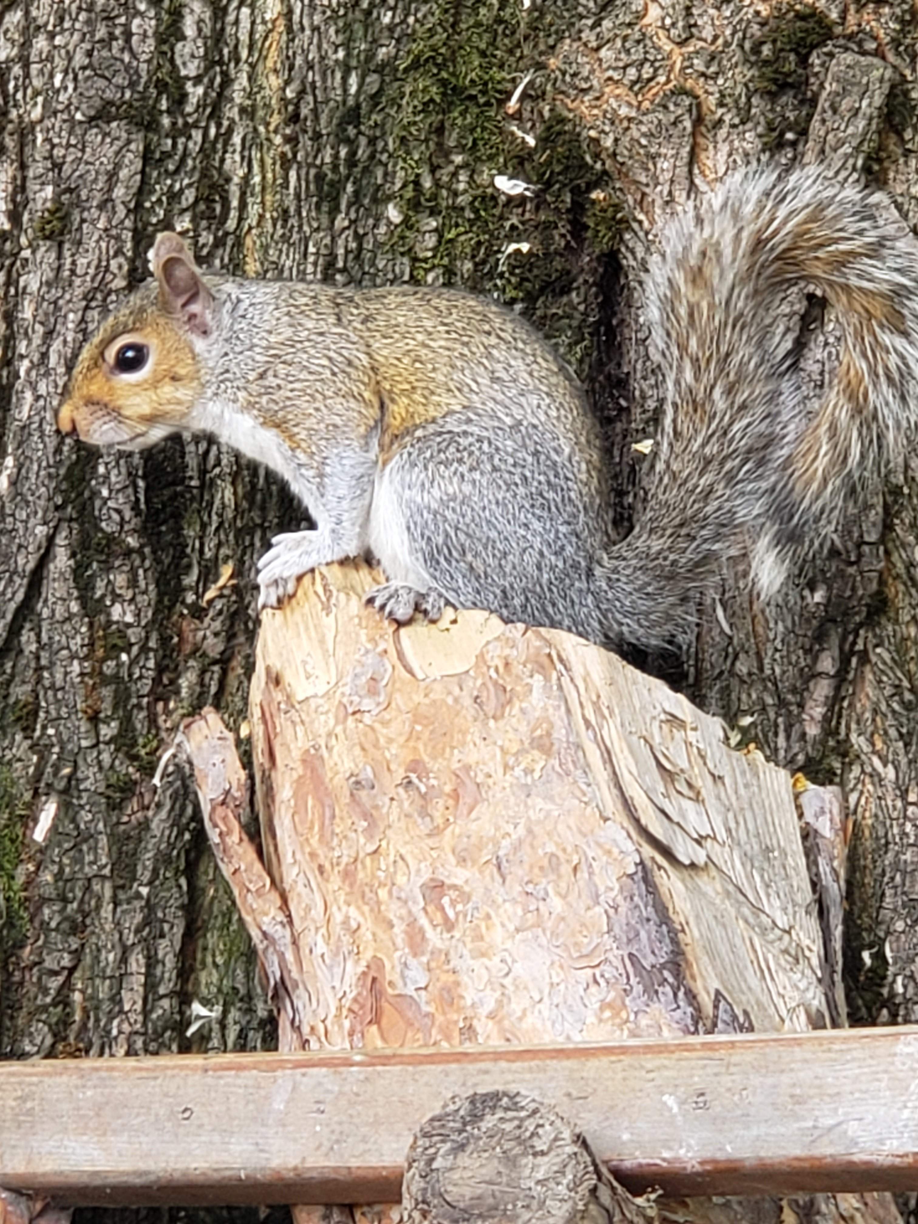20190612_163457.jpg
