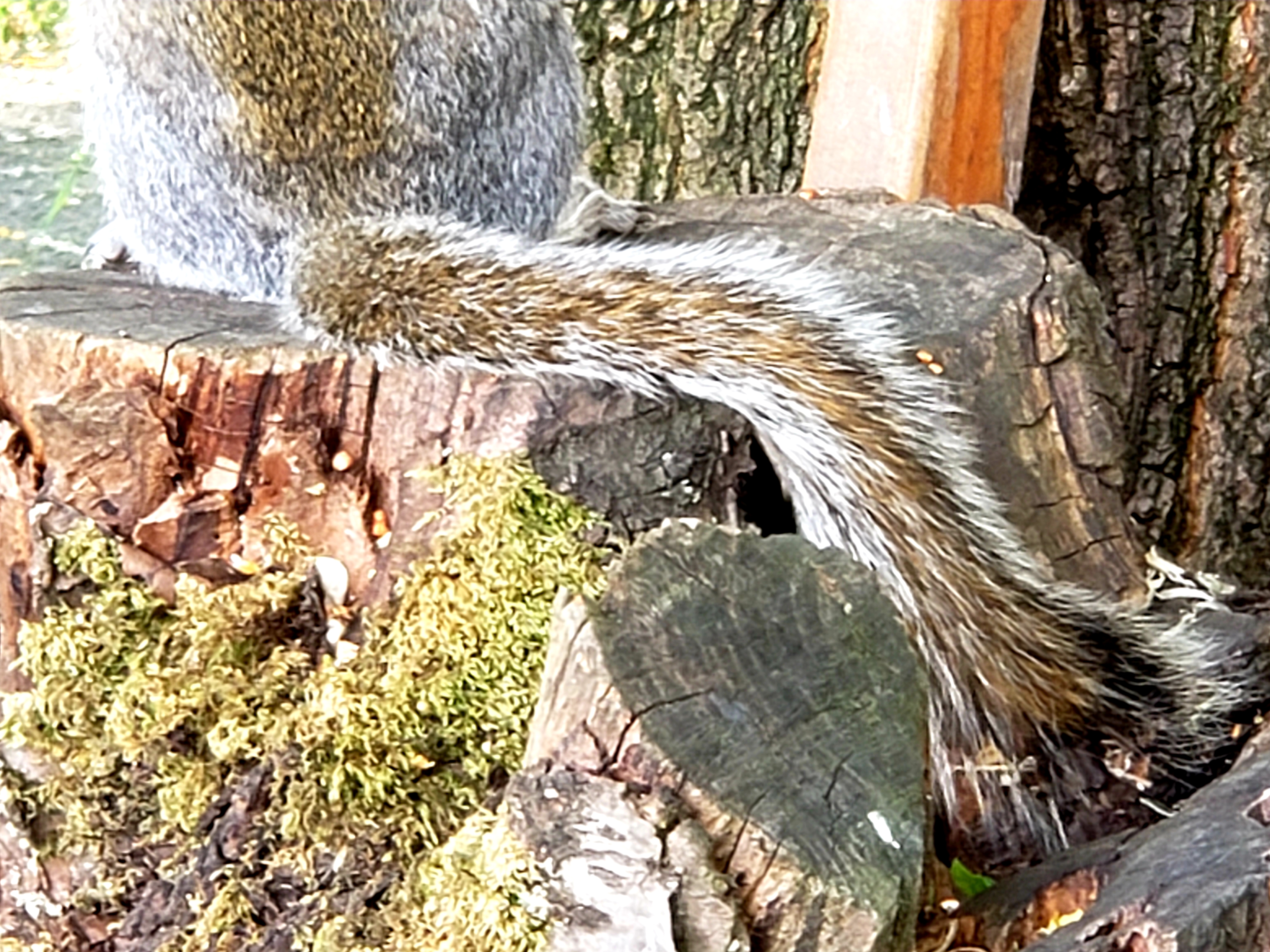 20190615_095653.jpg