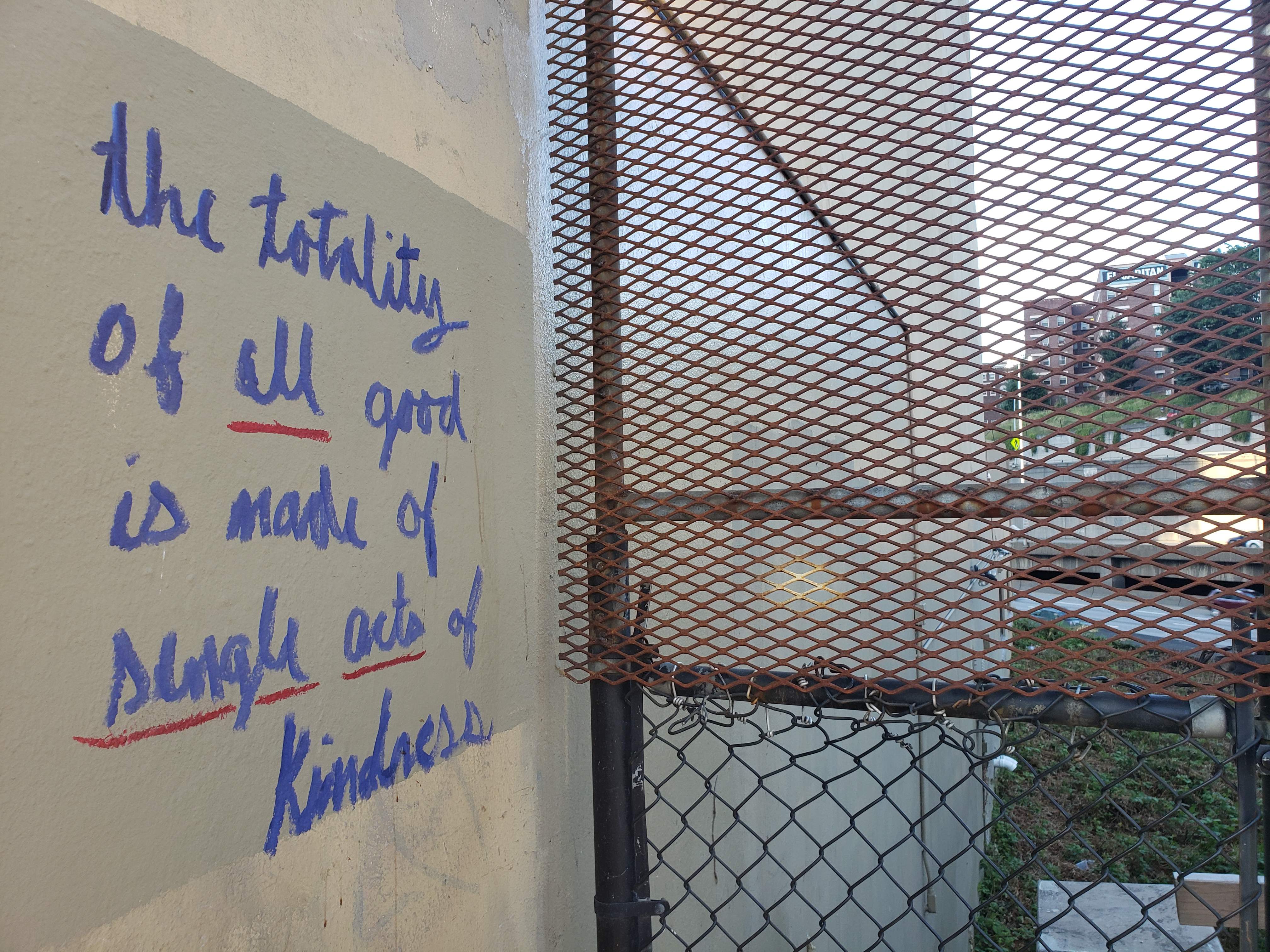 20190616_200514.jpg