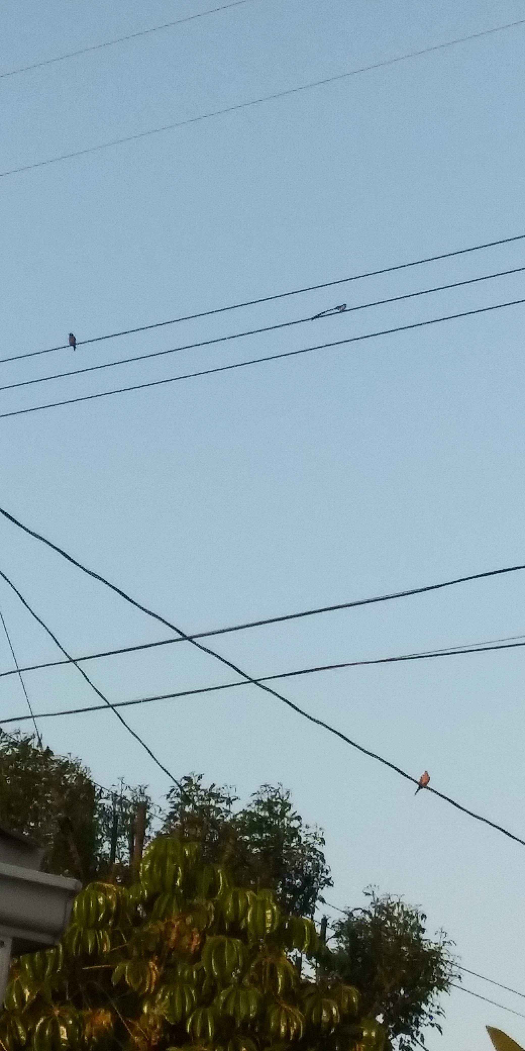 20190618_191955.jpg
