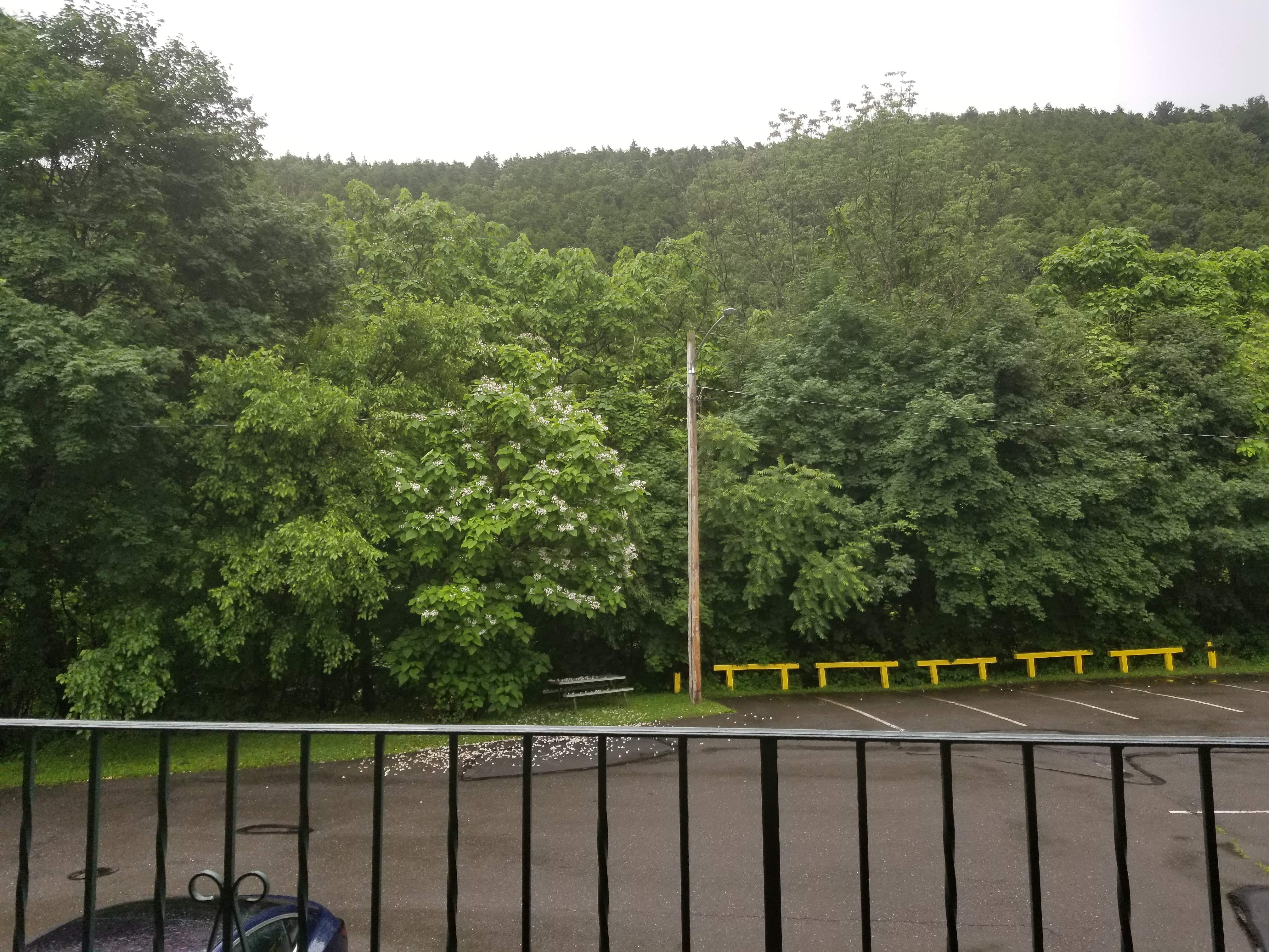 20190621_071405[1].jpg