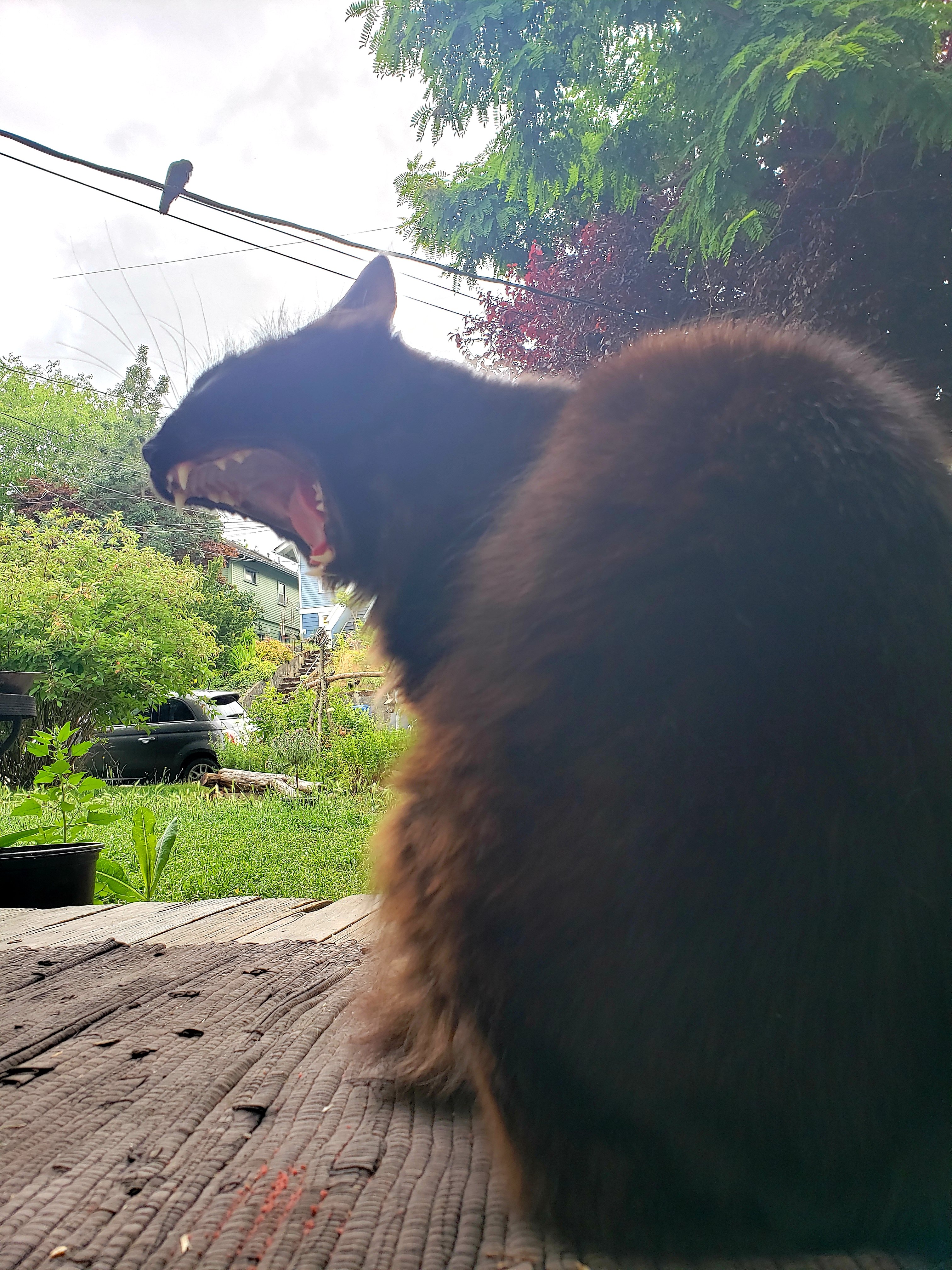 20190623_181415.jpg