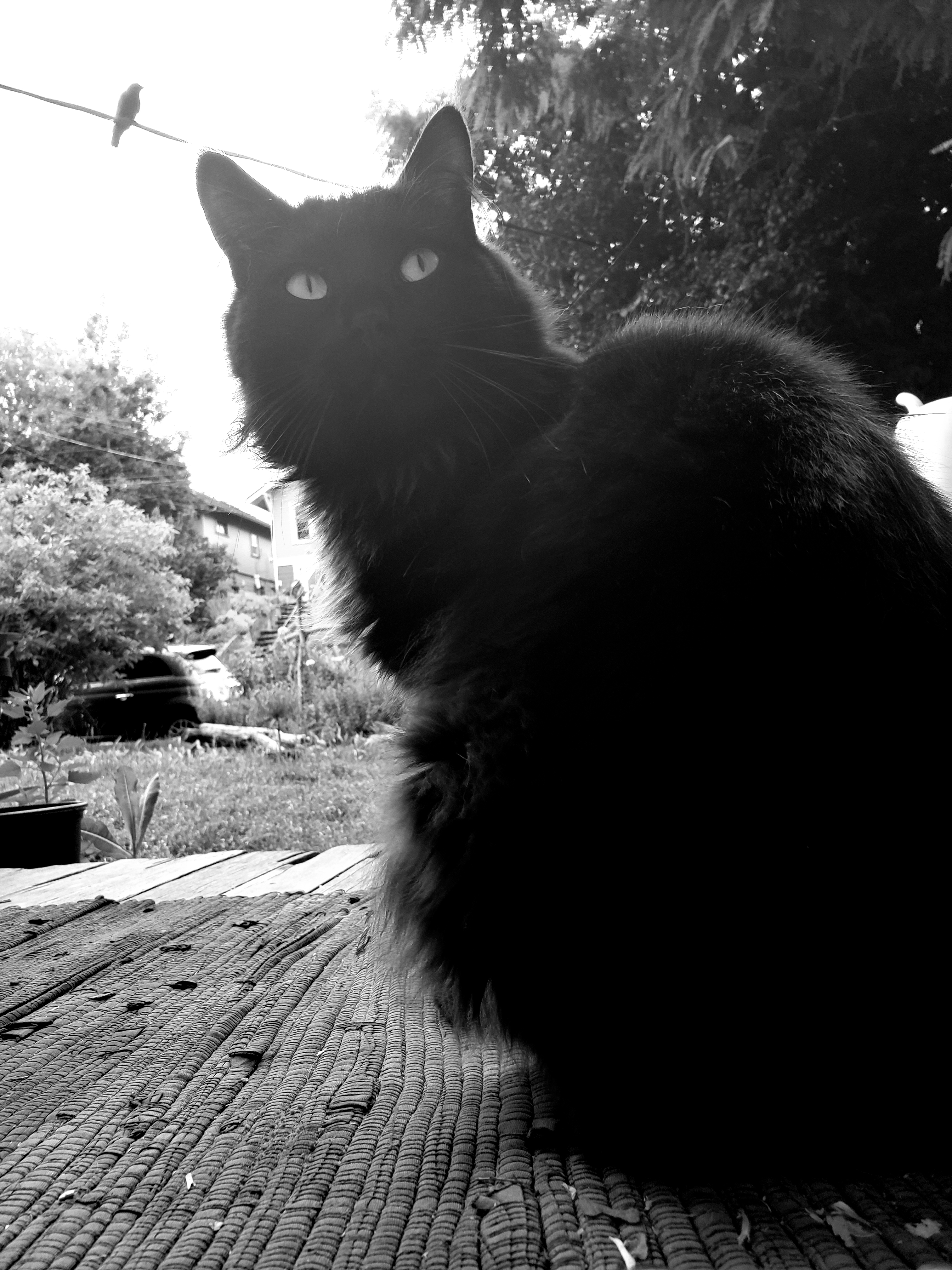 20190623_181858.jpg