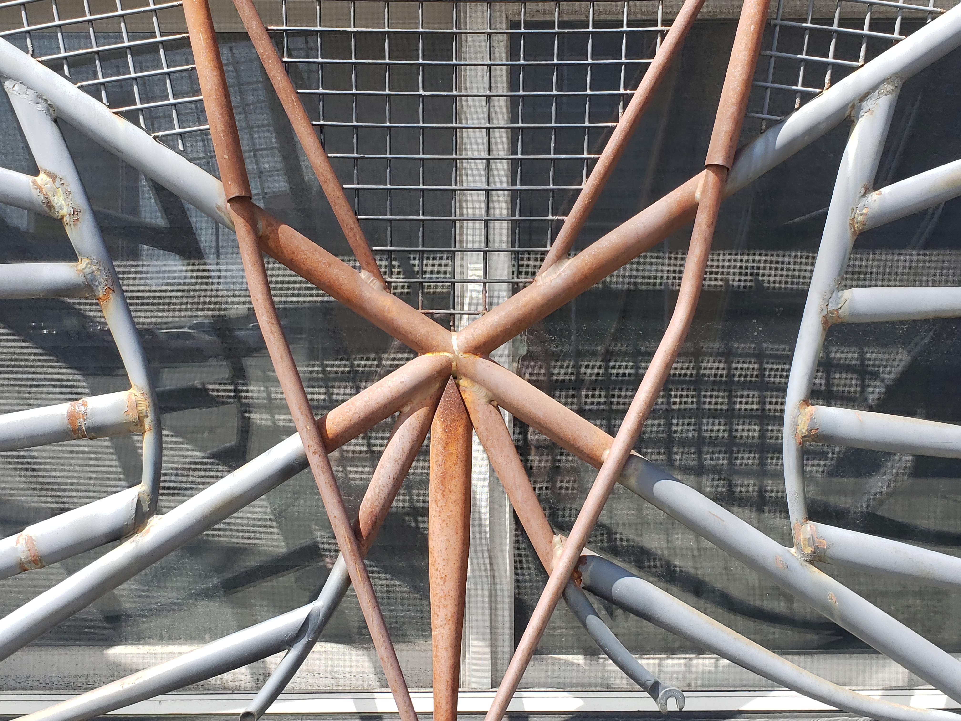 20190625_151017.jpg