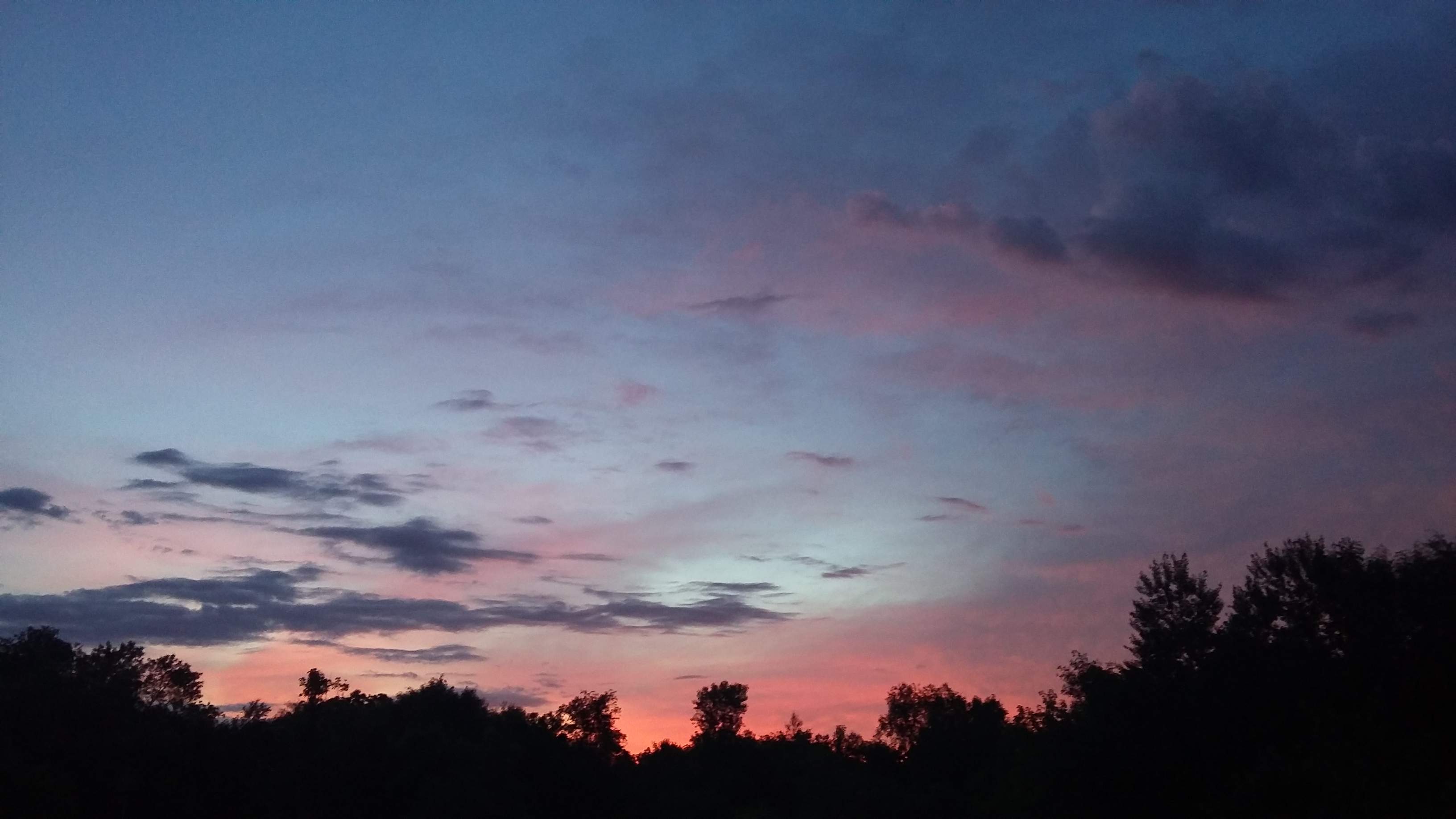 20190701_045440.jpg