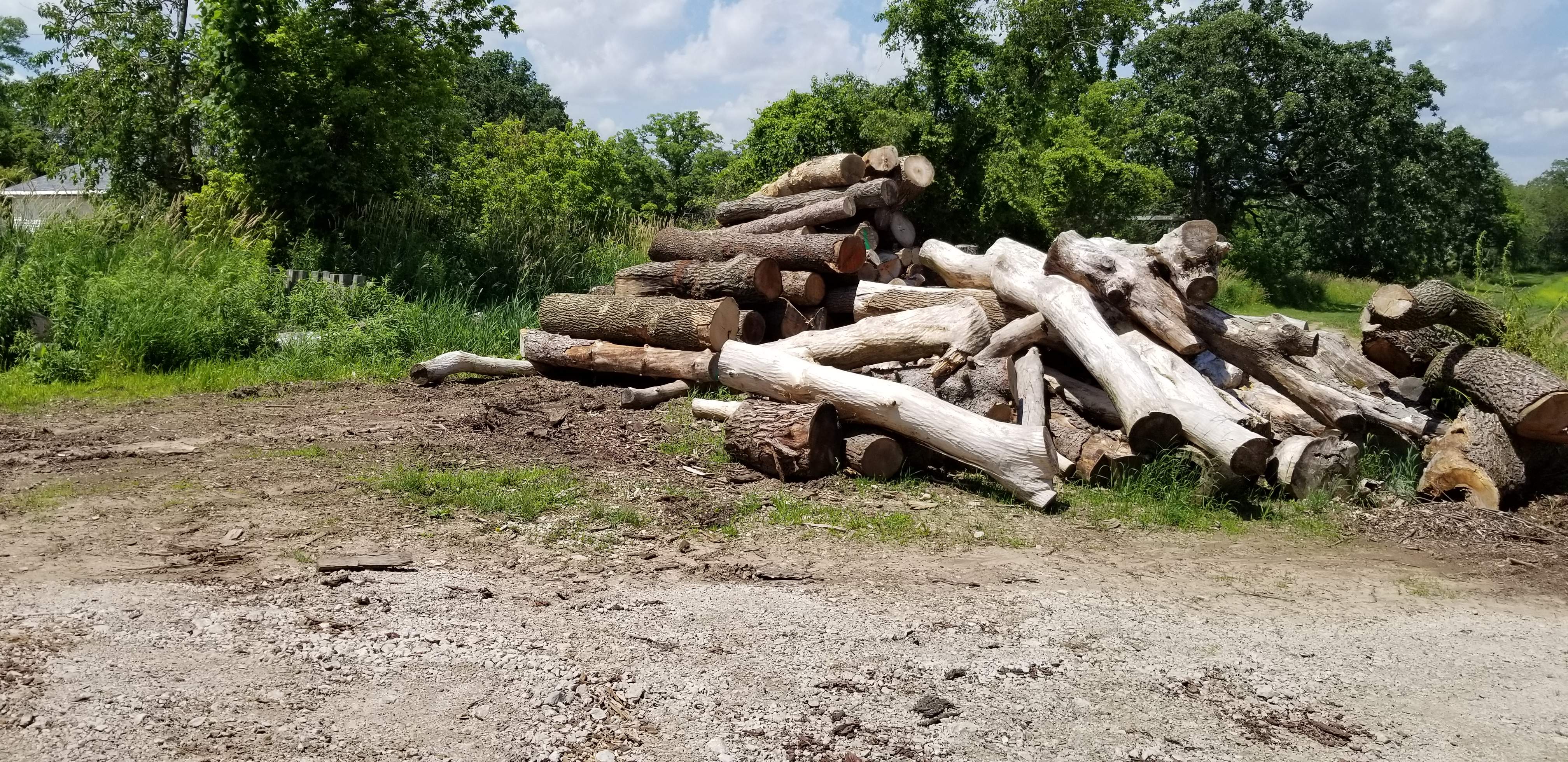 20190702_133556.jpg