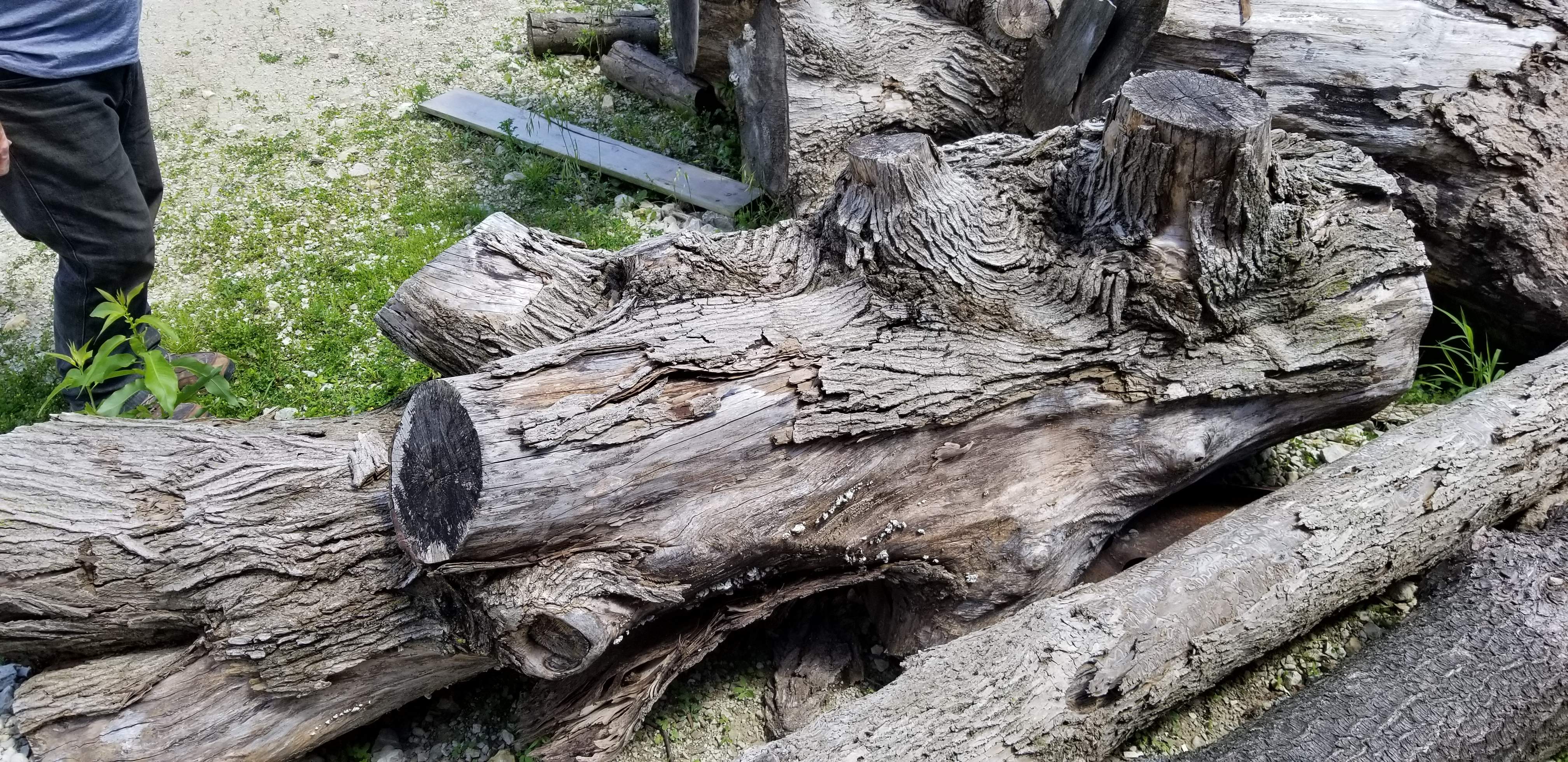 20190702_133721.jpg