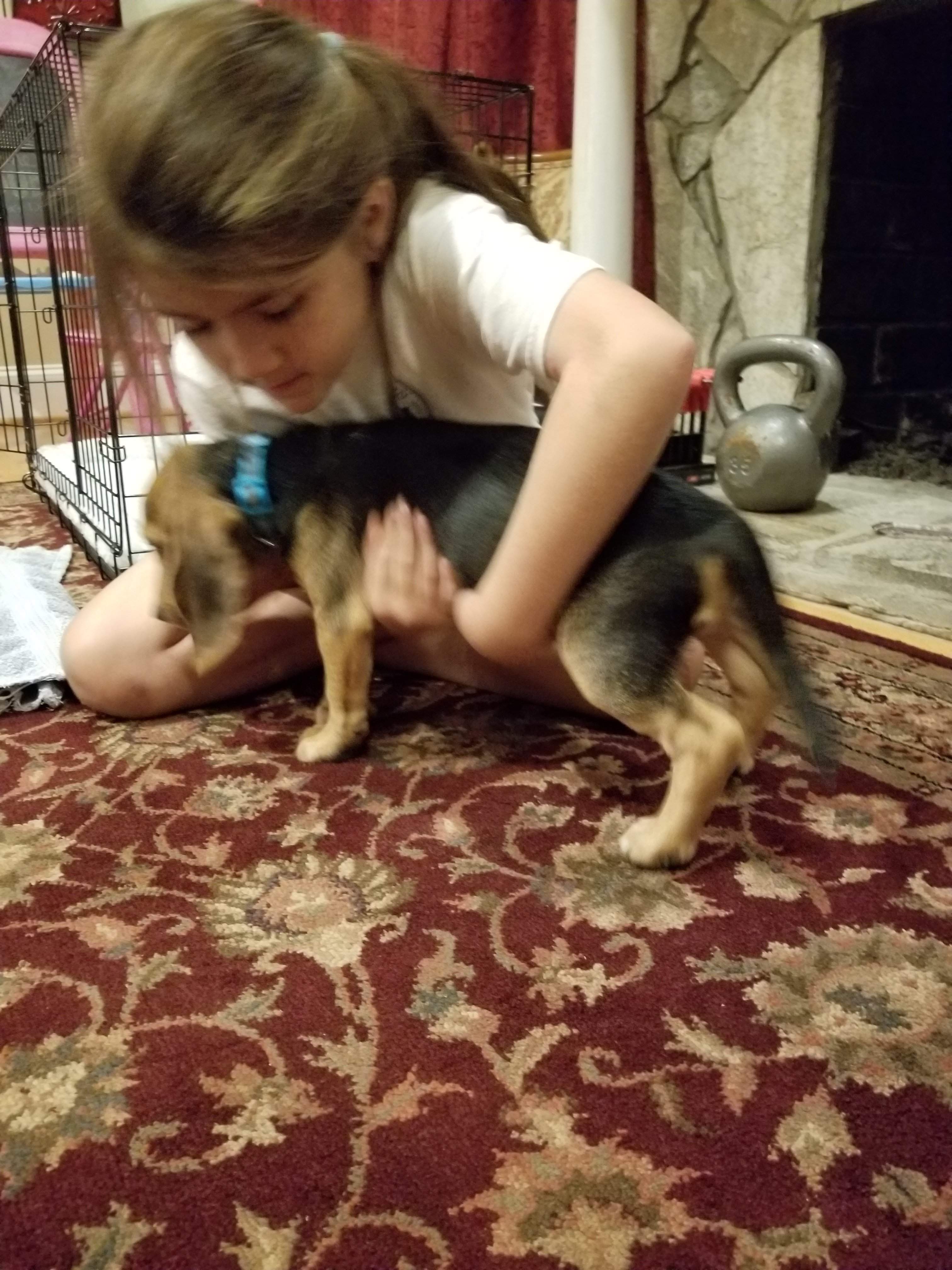 20190702_220100.jpg