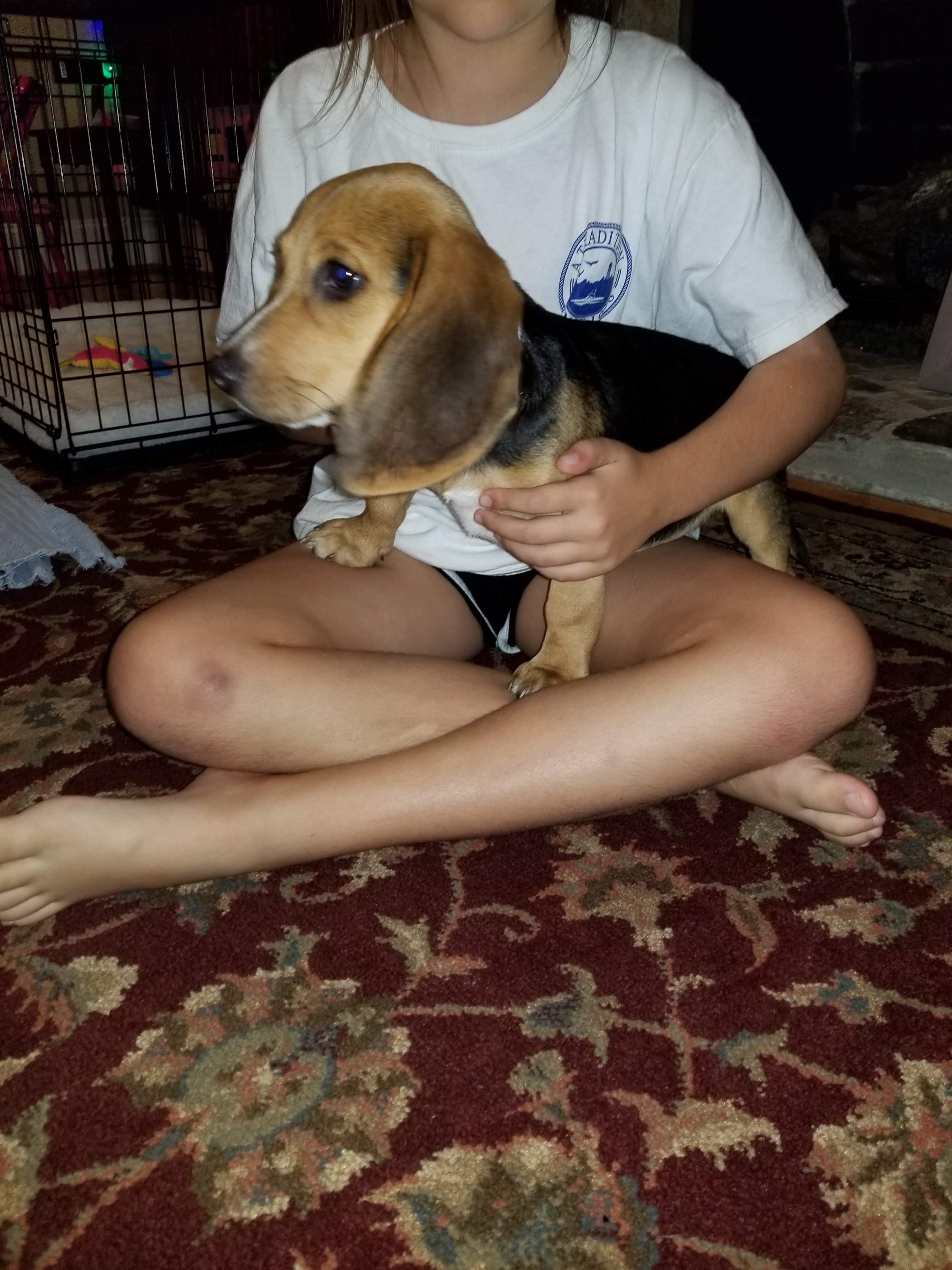20190702_220321.jpg