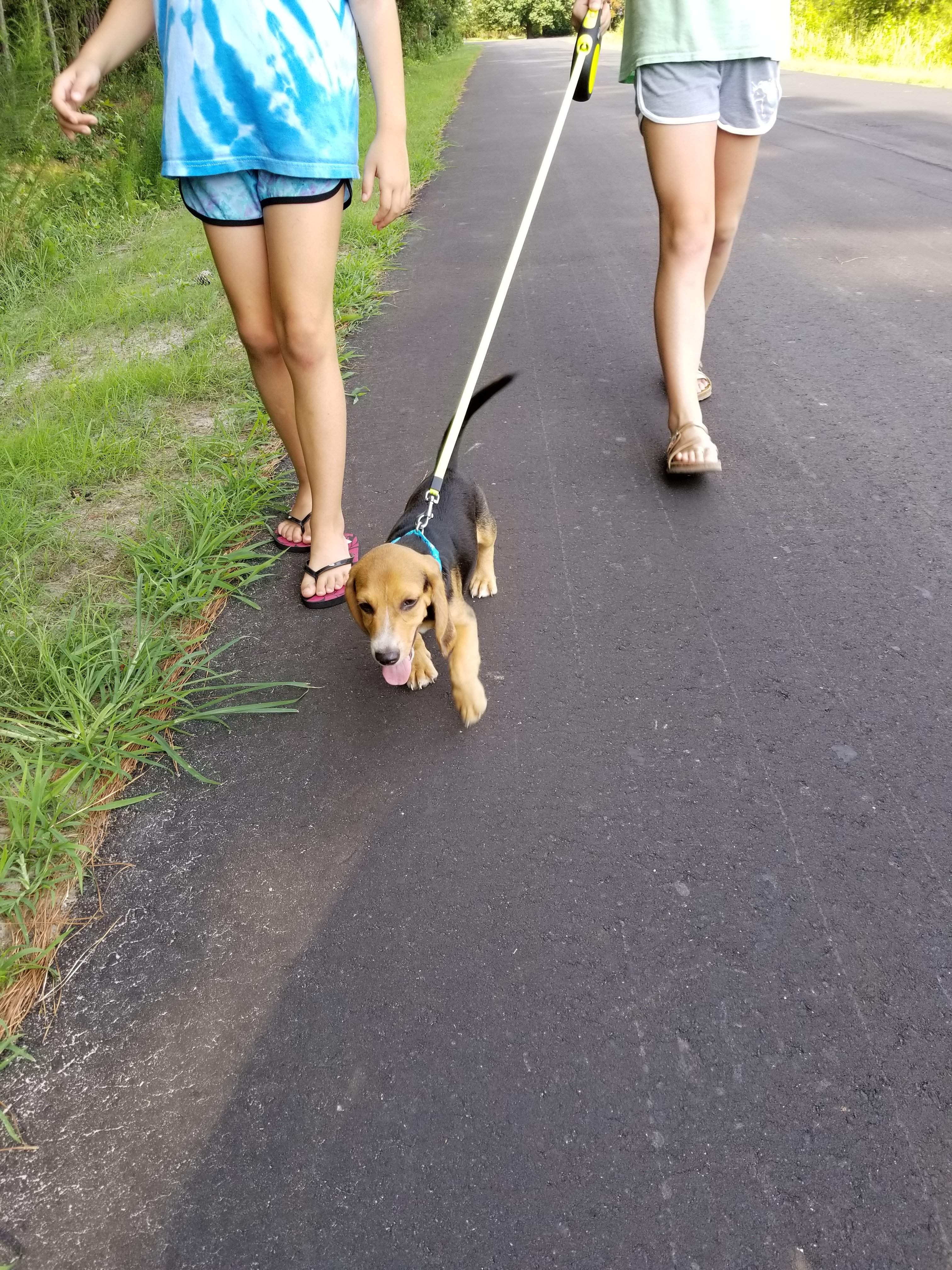 20190703_170213.jpg