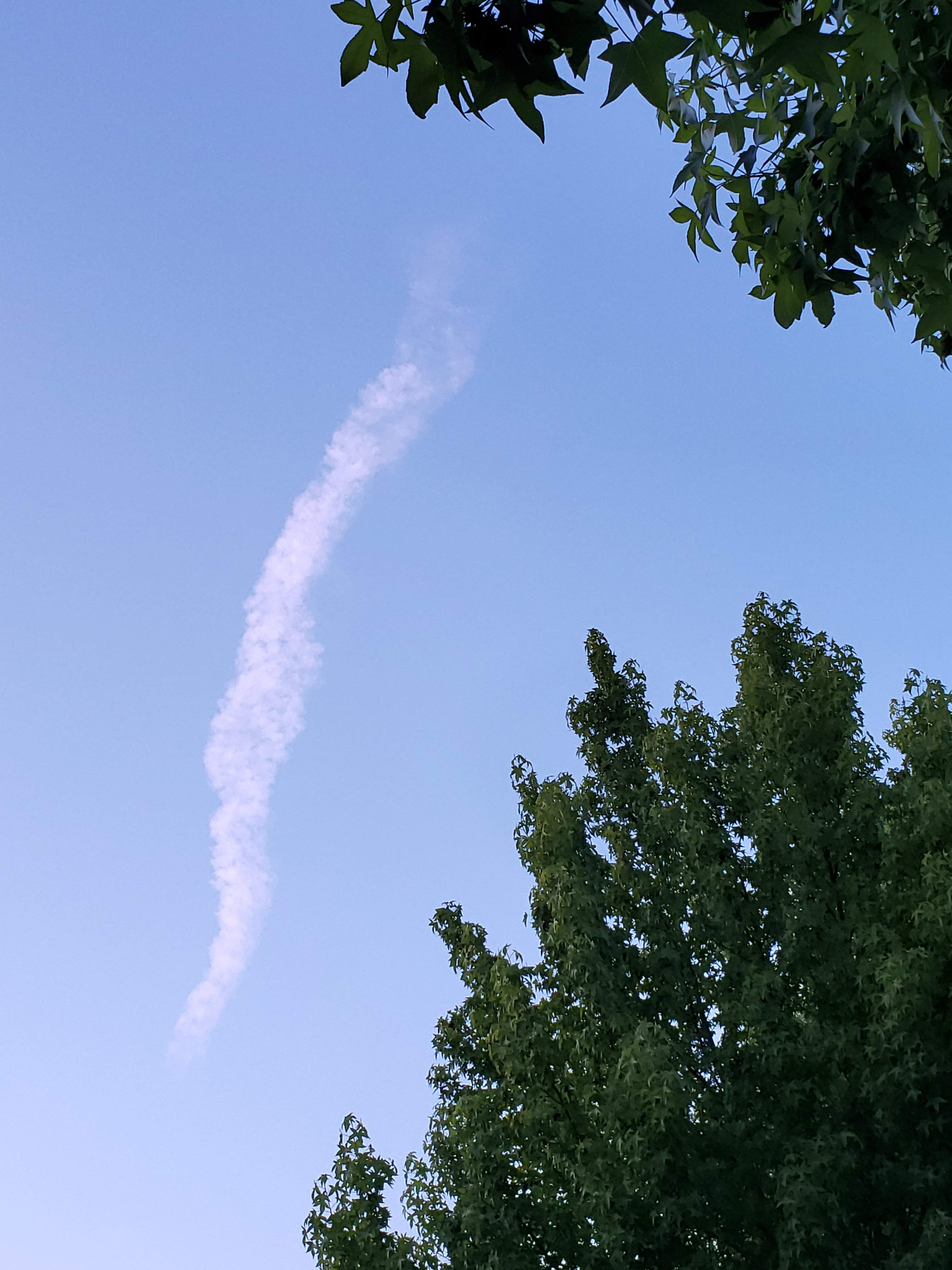 20190703_210818.jpg