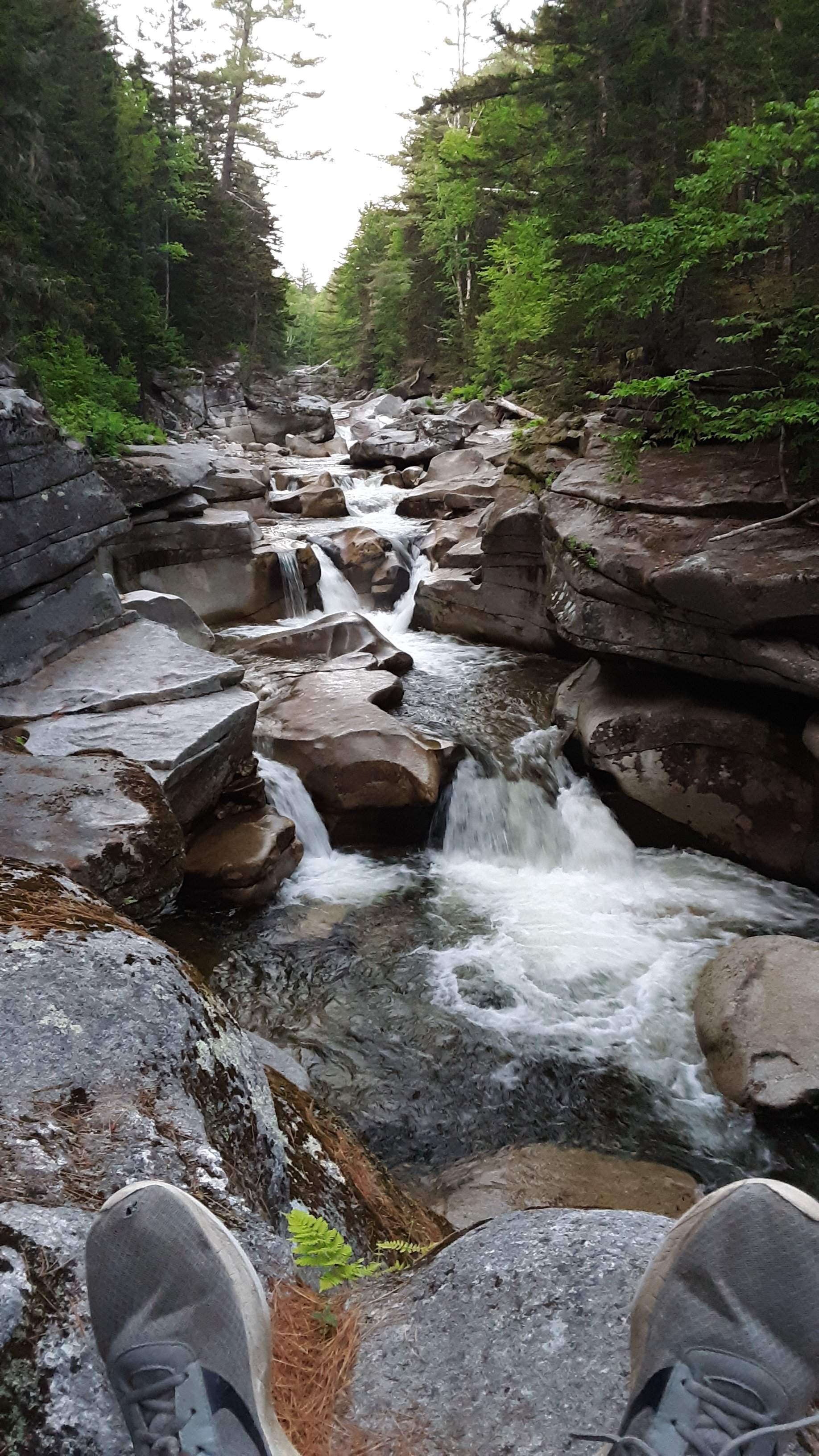 20190704_202309.jpg