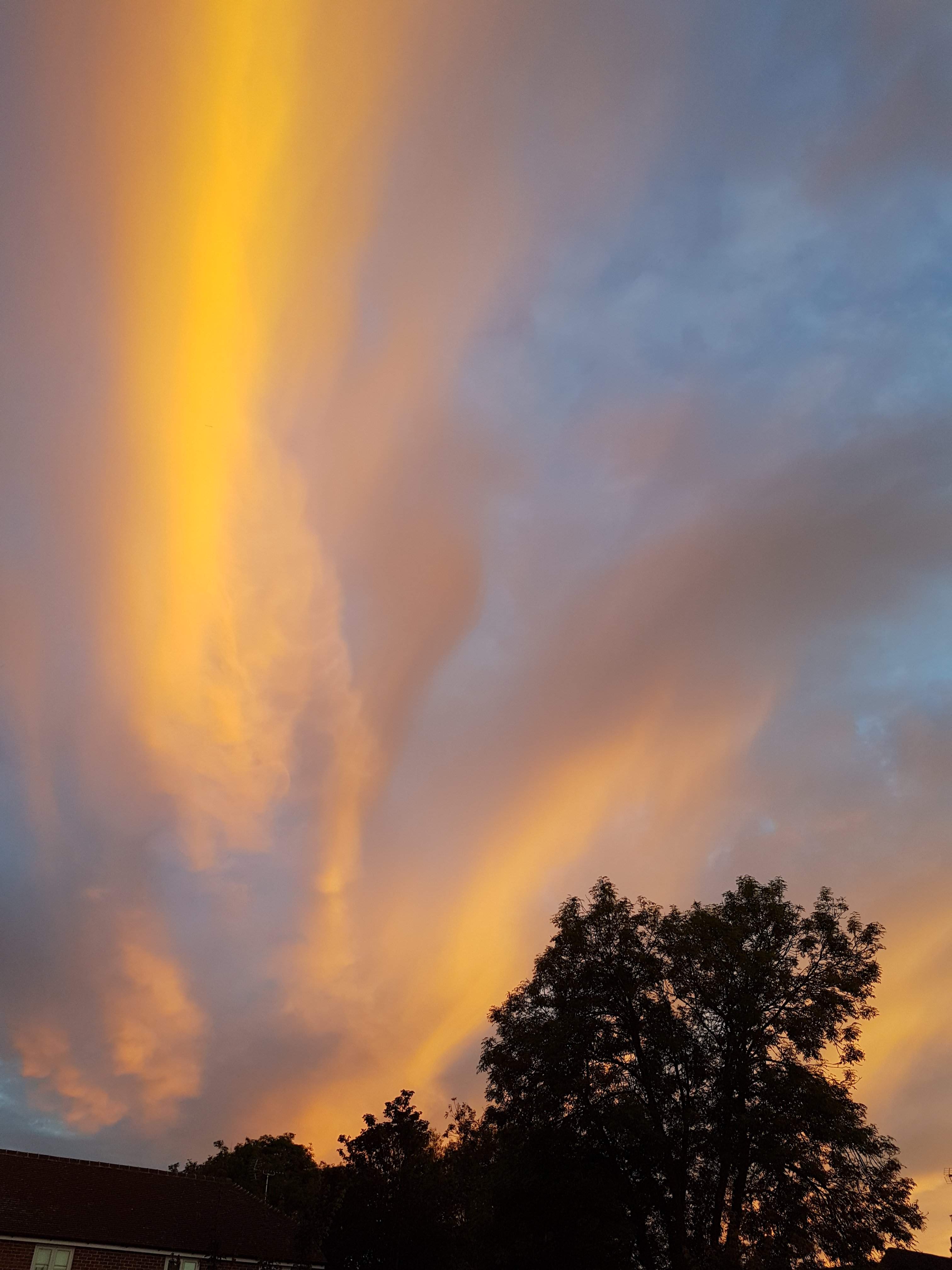 20190705_212602.jpg