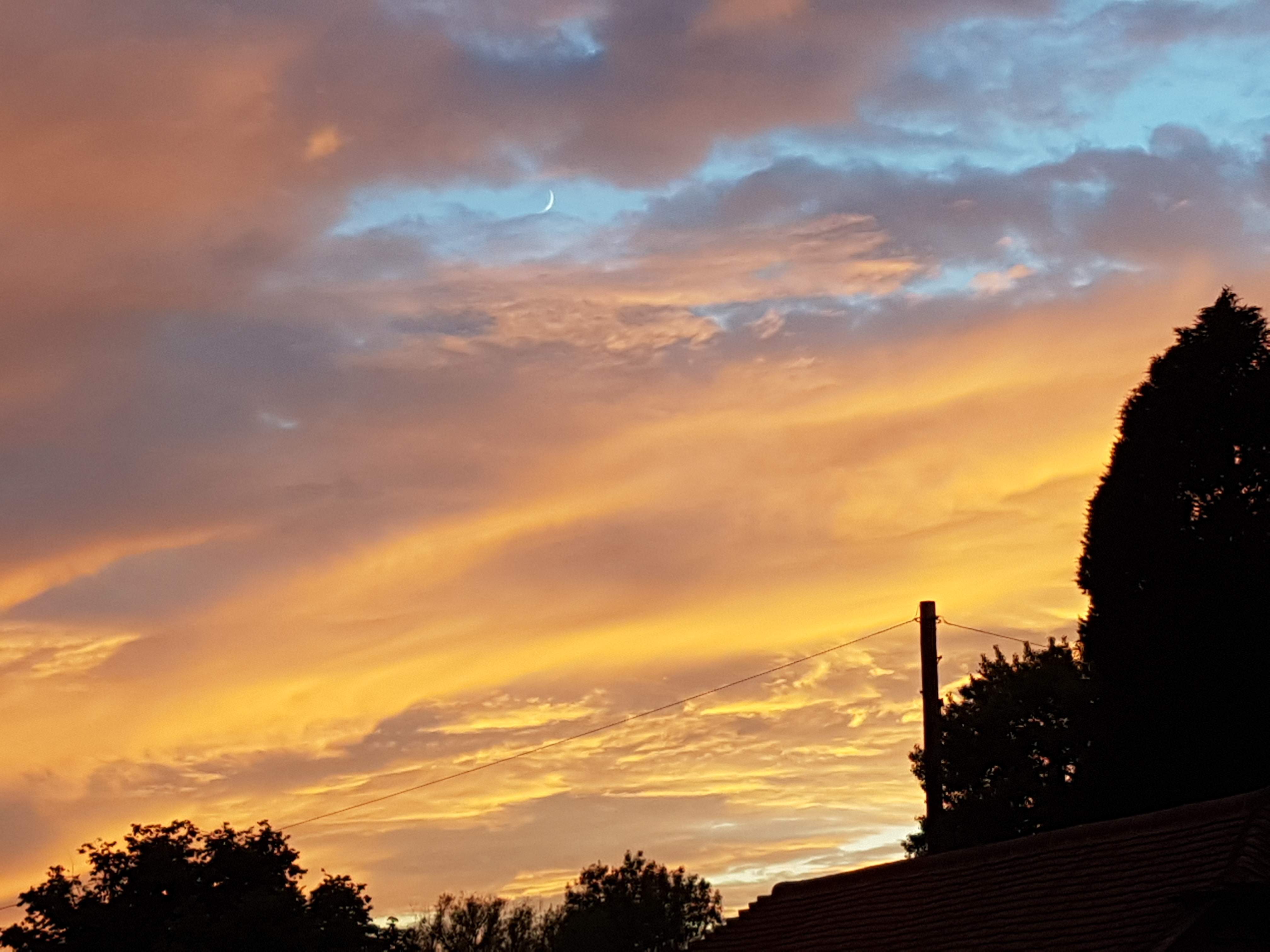 20190705_212705.jpg