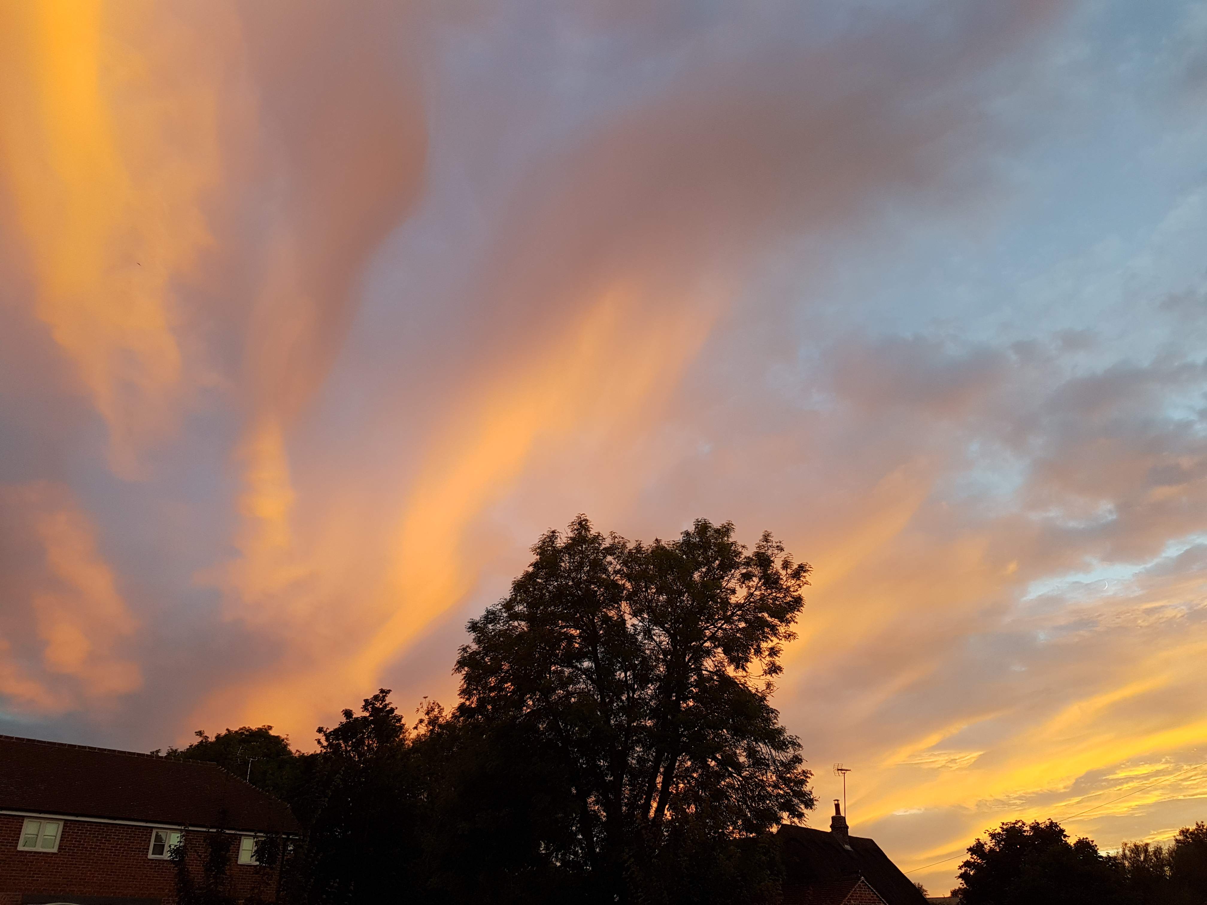 20190705_212803.jpg