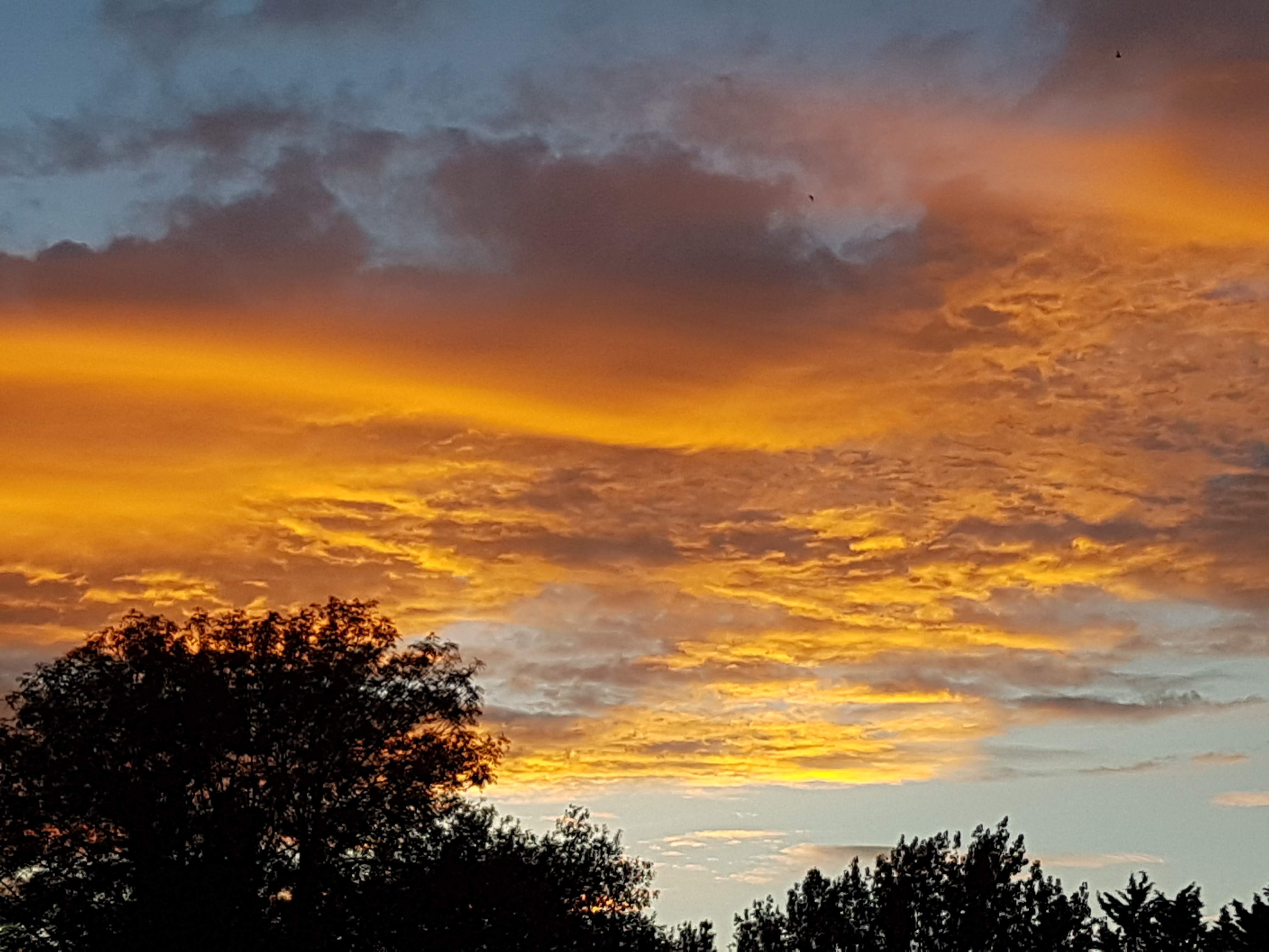 20190705_212837.jpg