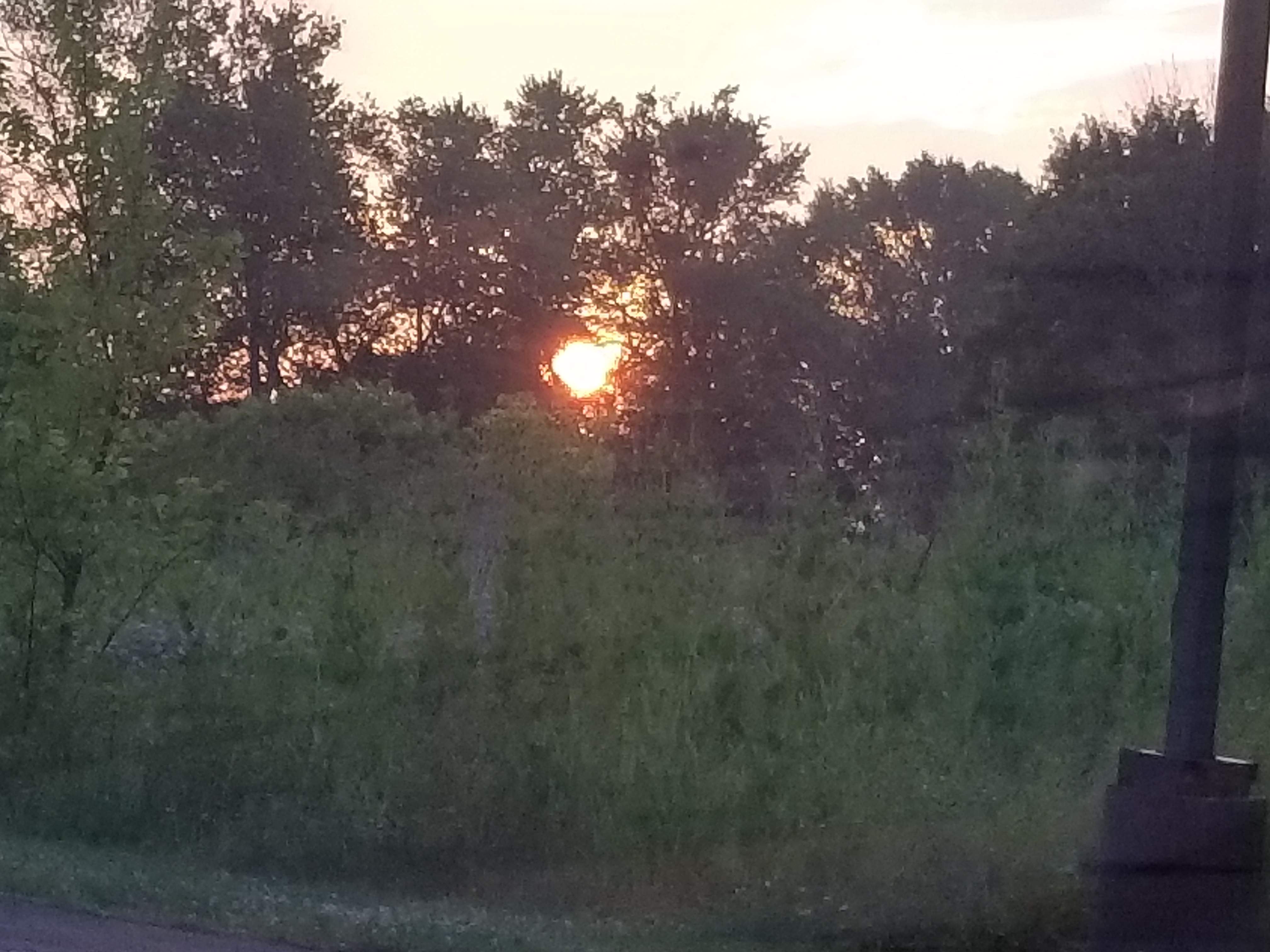 20190706_055215[1].jpg