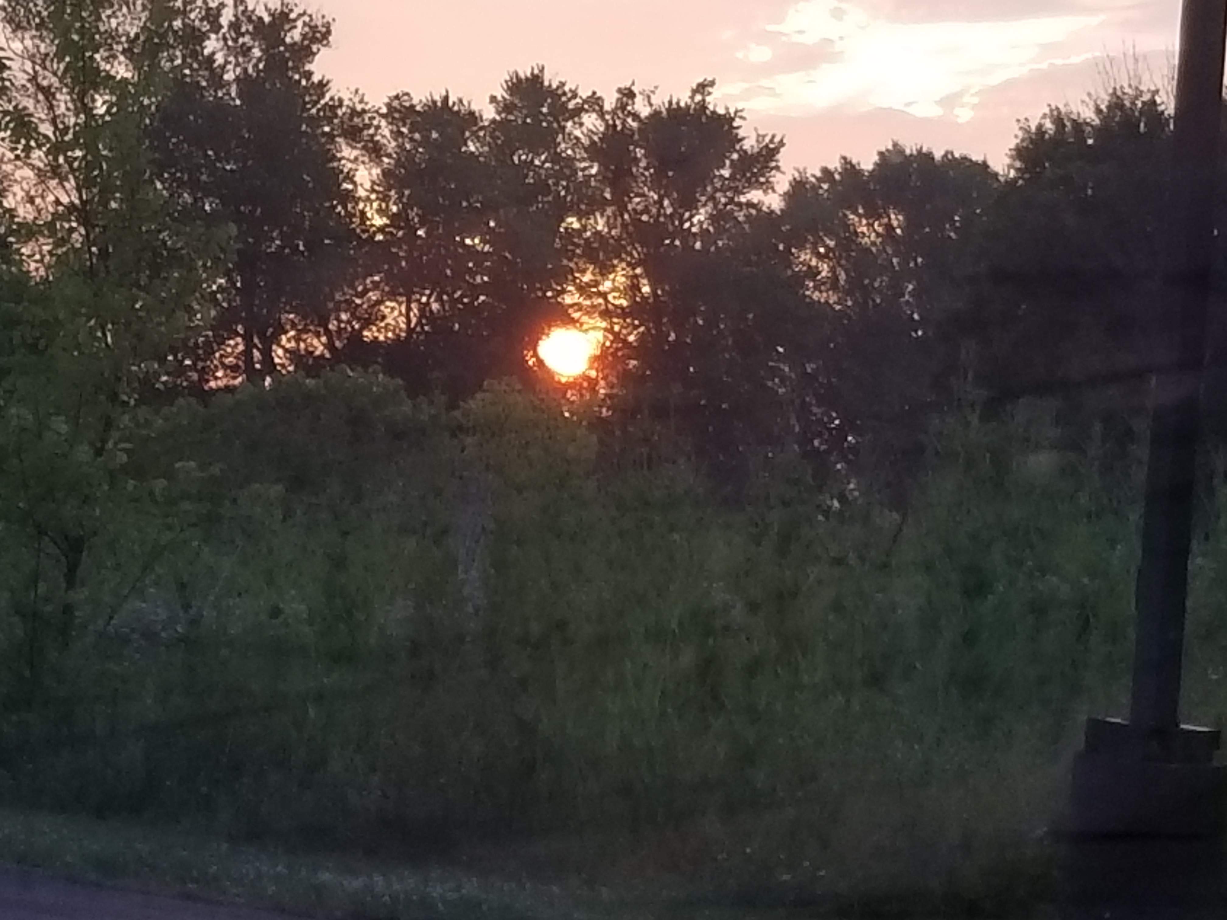20190706_055219[1].jpg