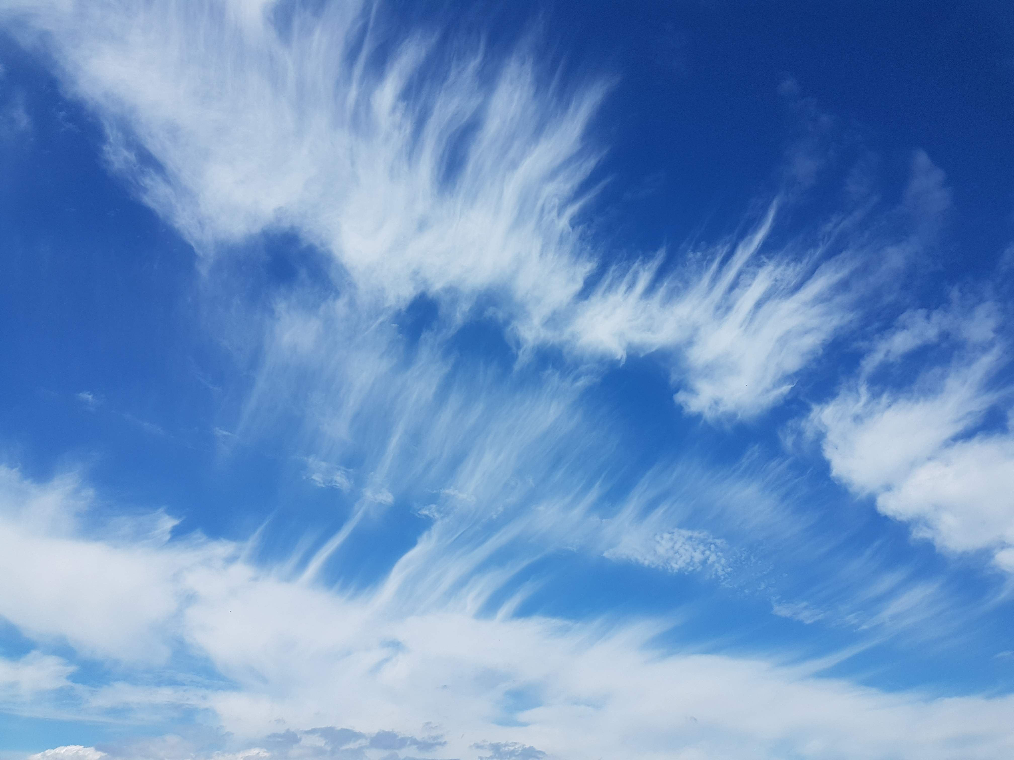20190706_152316.jpg