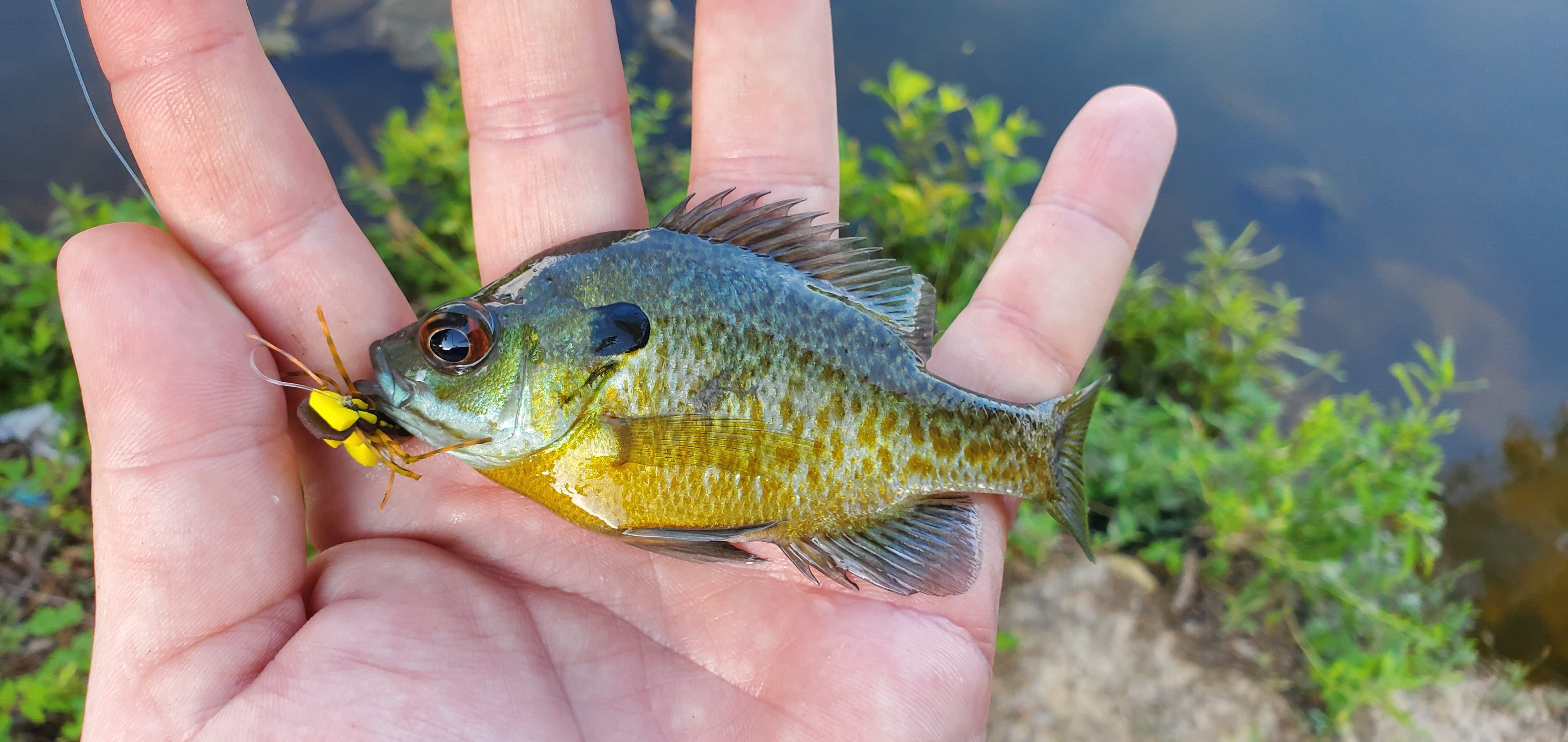 20190714_183044.jpg