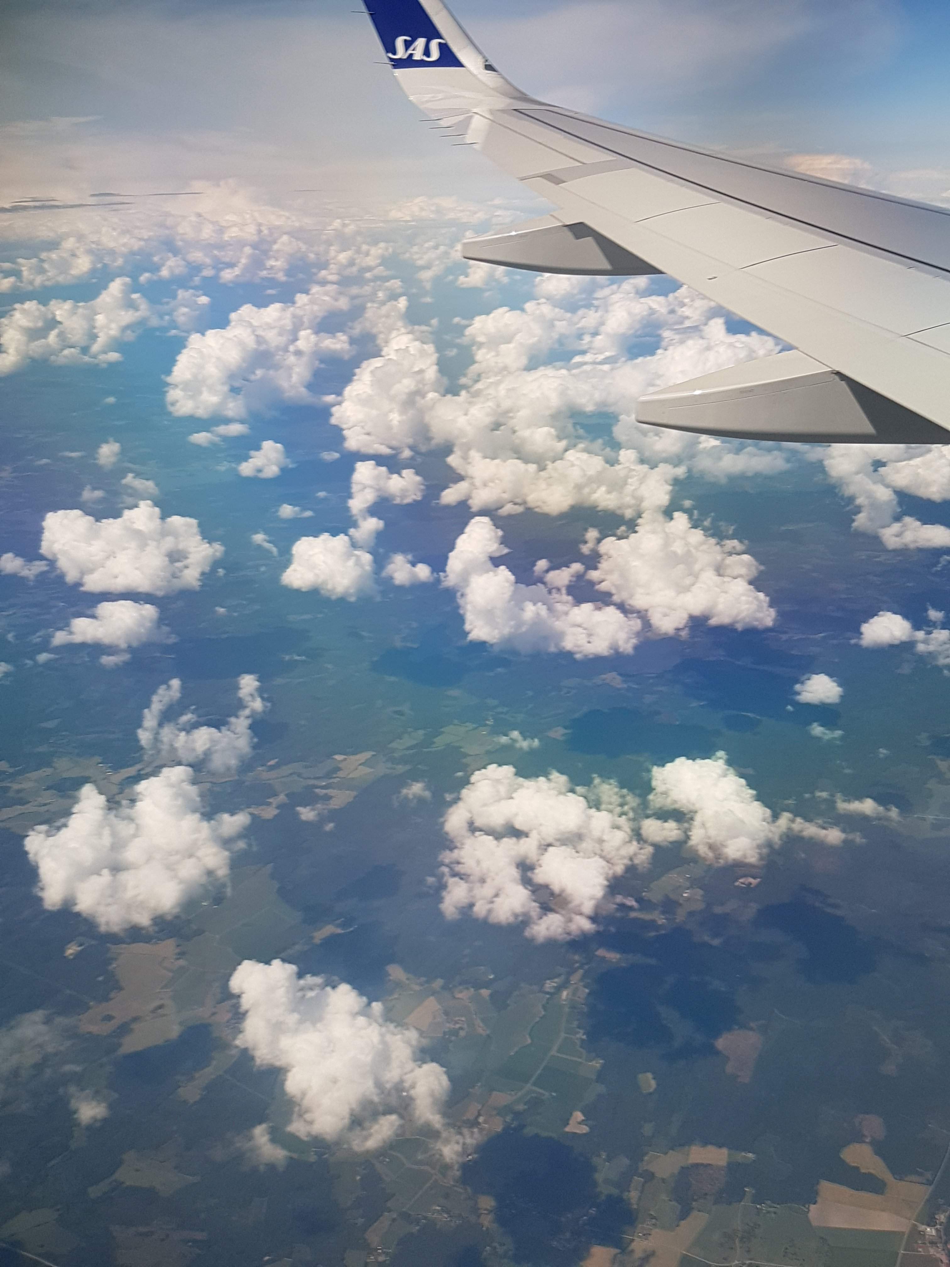 20190719_123650.jpg