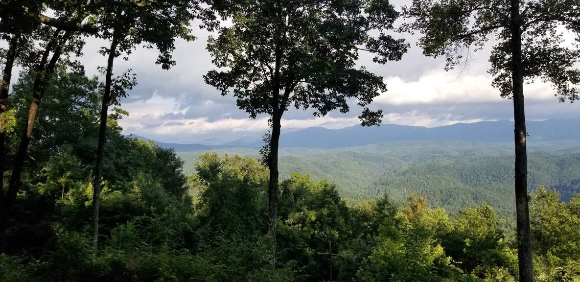 20190723_190534.jpg