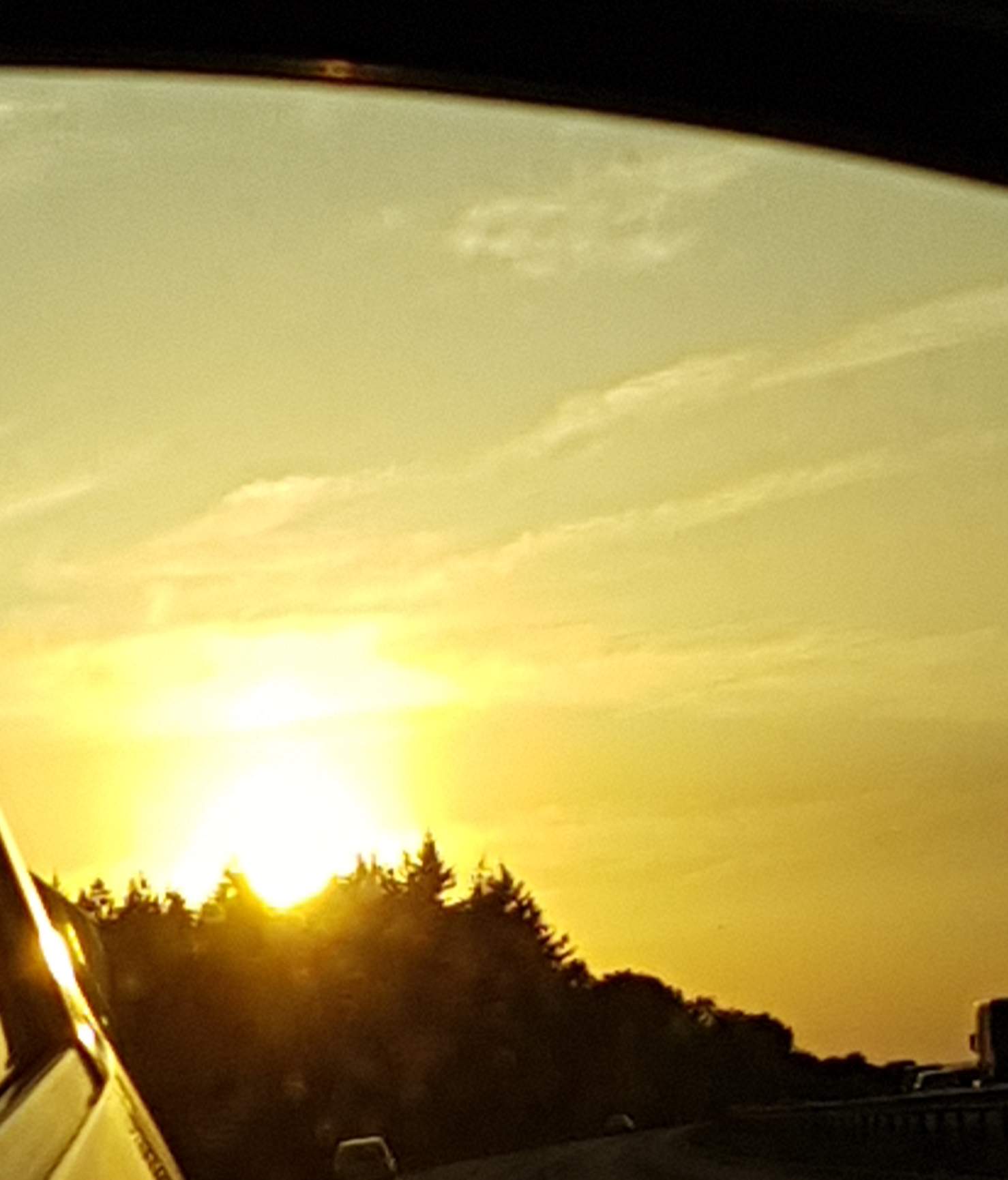 20190725_063050.jpg