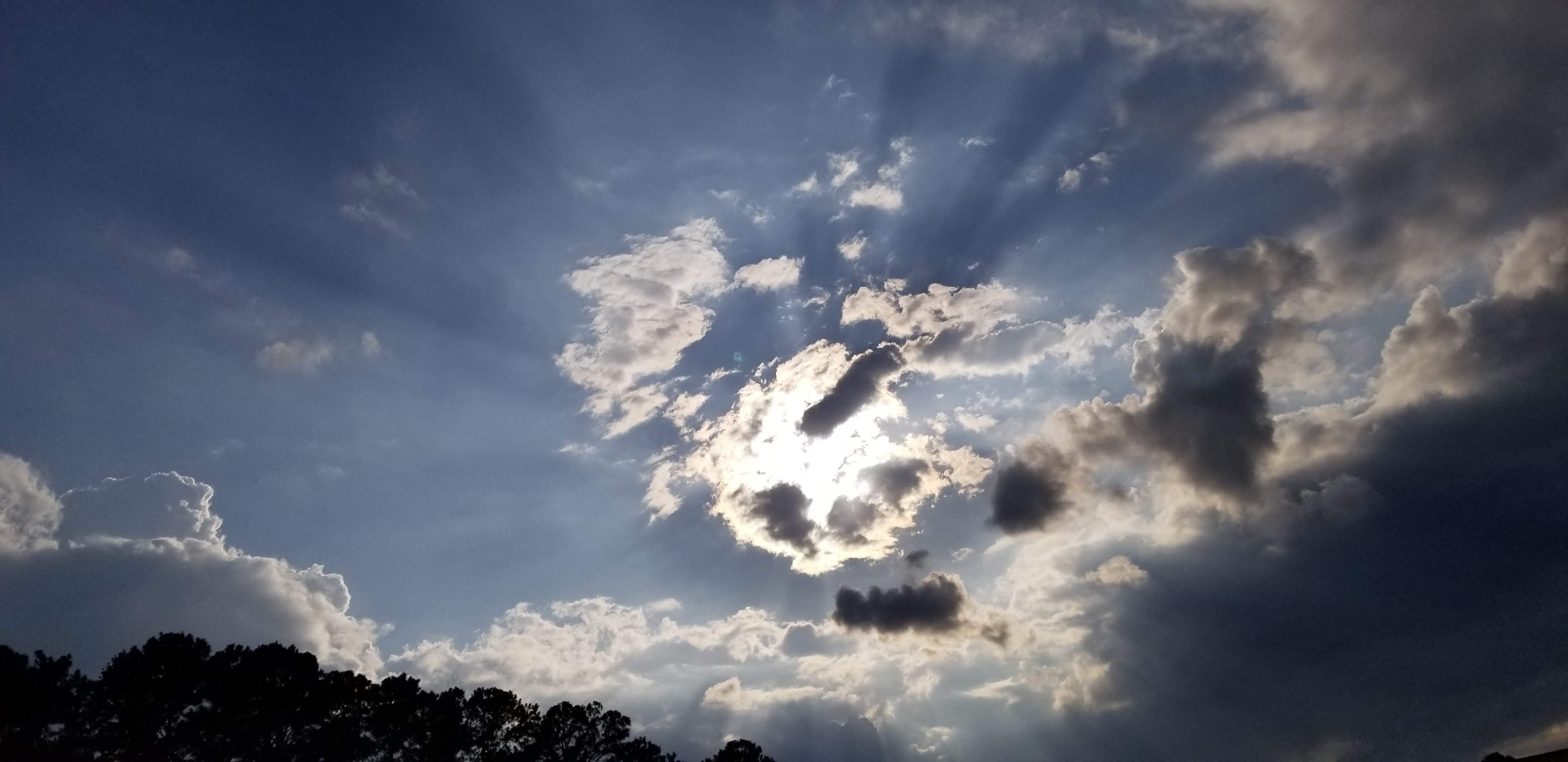 20190725_181121.jpg