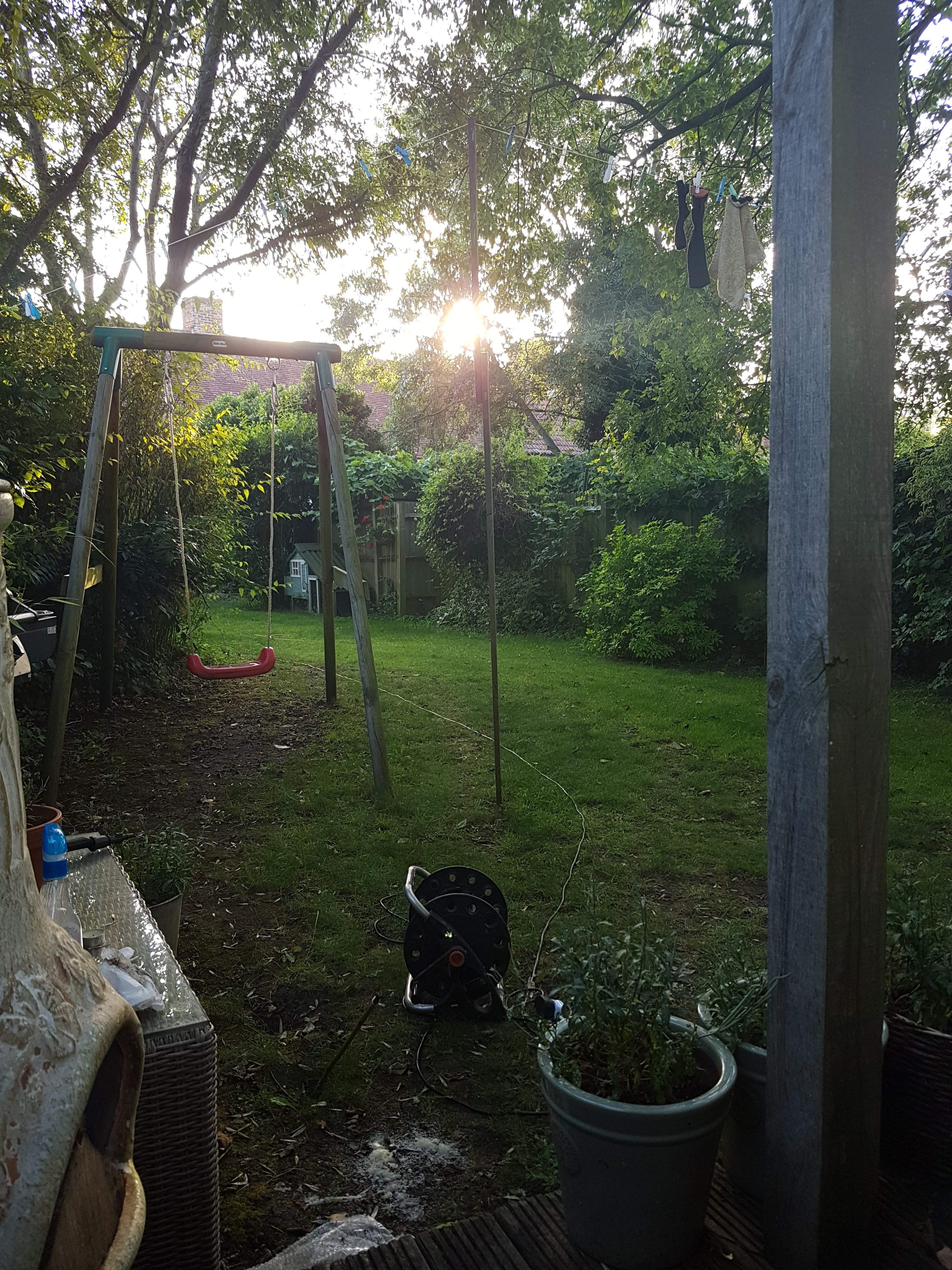 20190725_193143.jpg