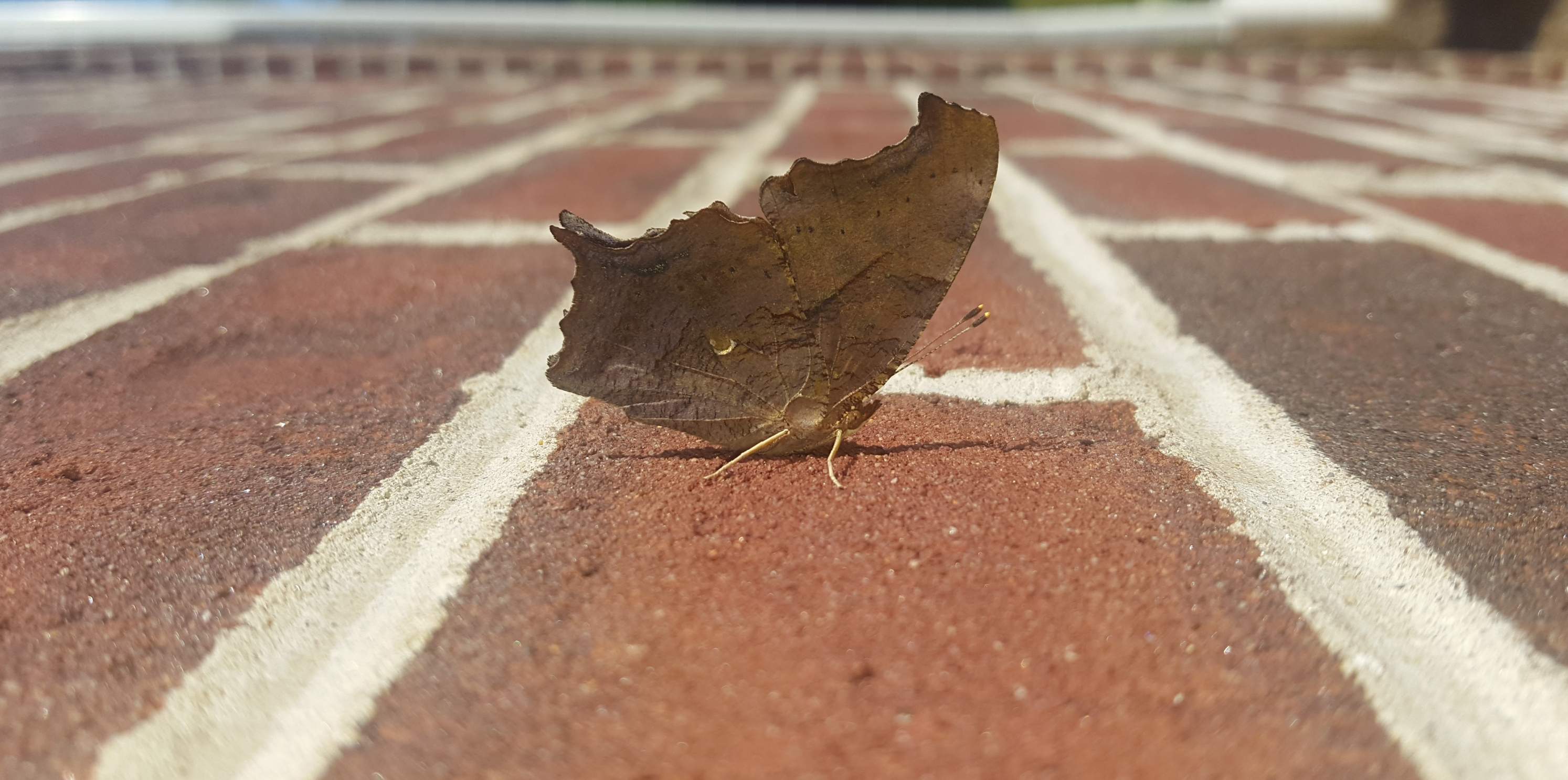 20190727_083146.jpg