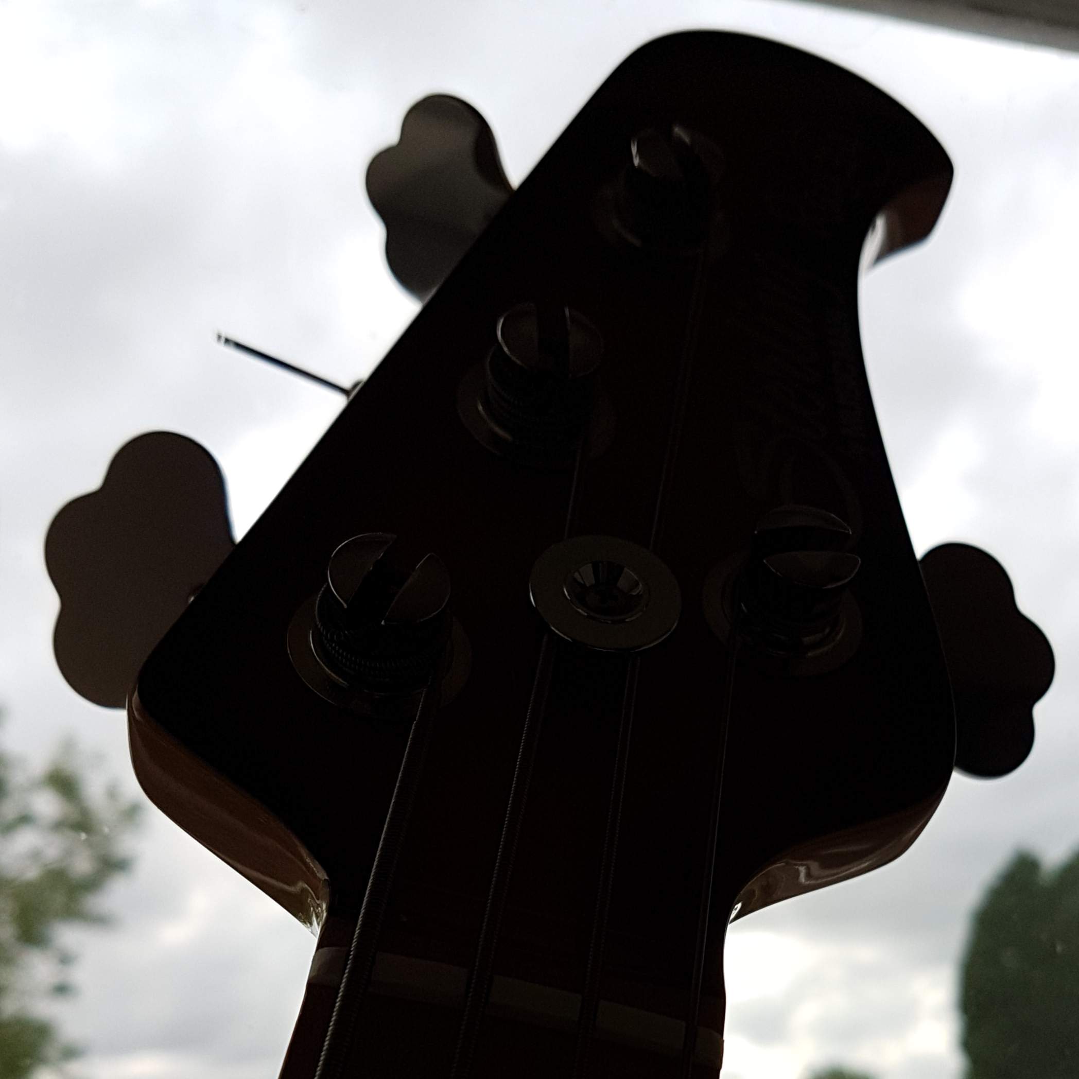 20190727_163947.jpg