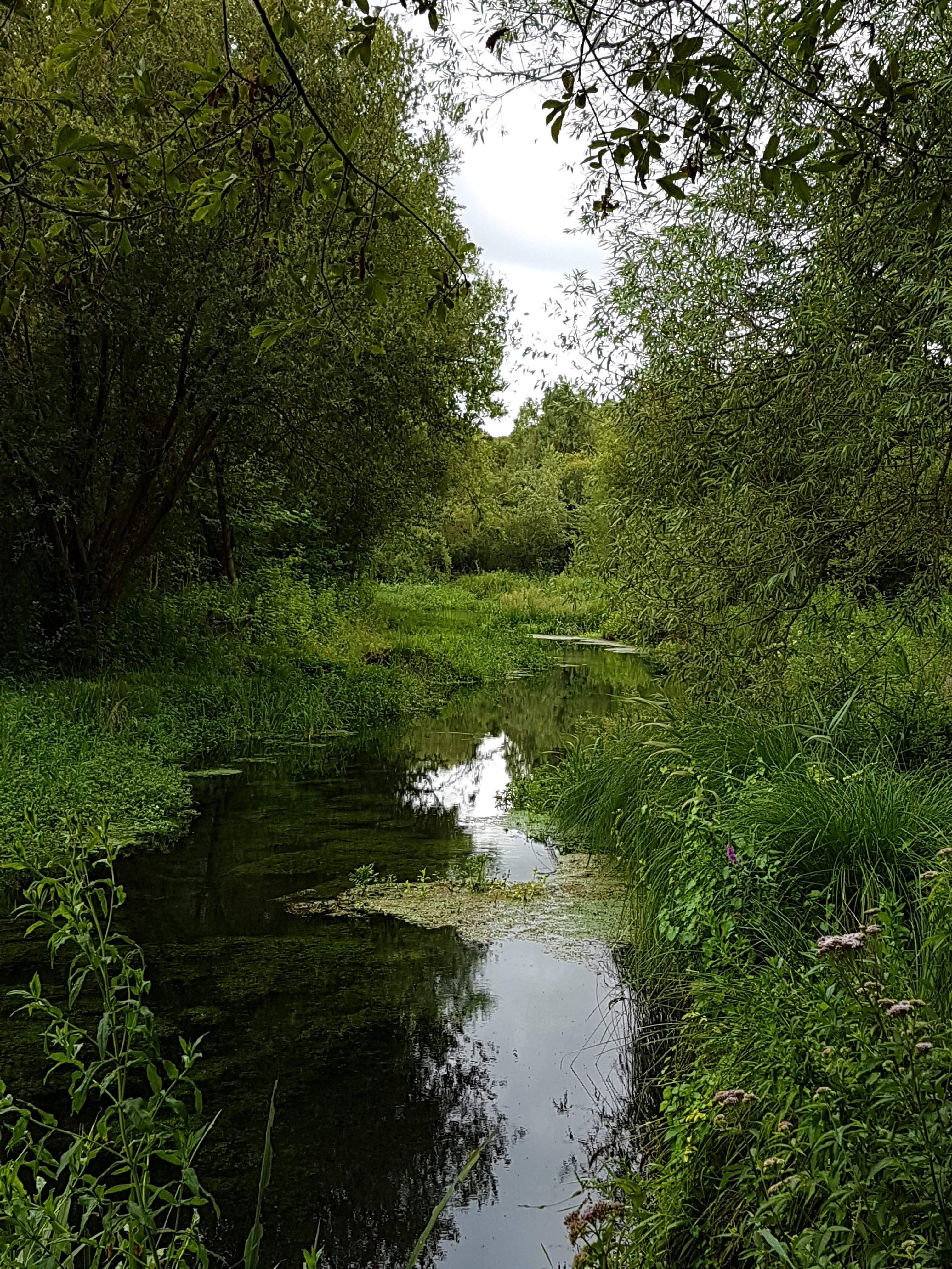 20190727_170229.jpg